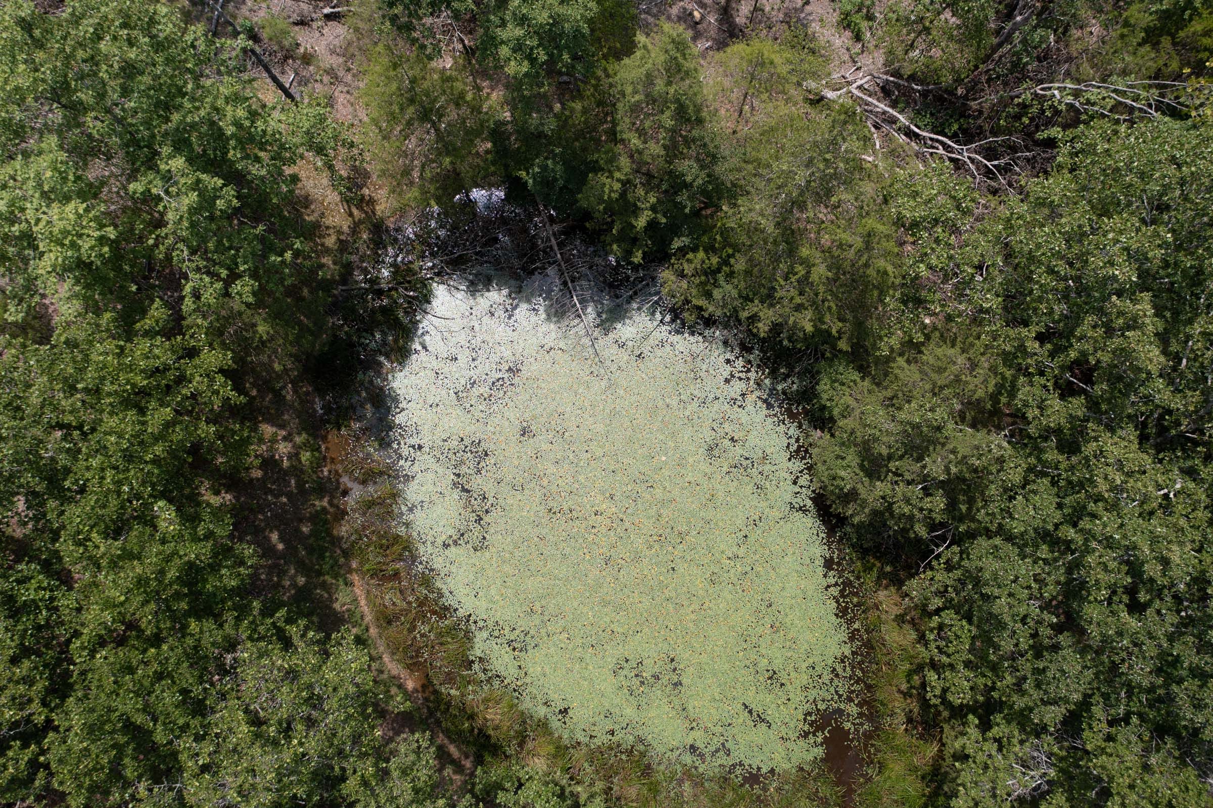 Wildwood Tract 7 photo 3