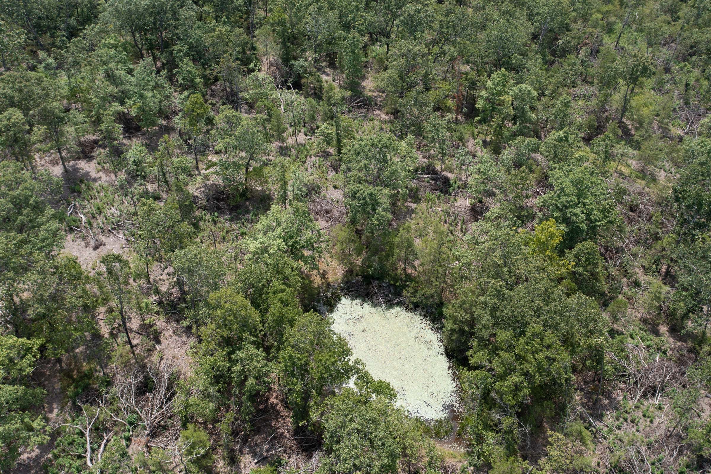 Wildwood Tract 7 photo 4