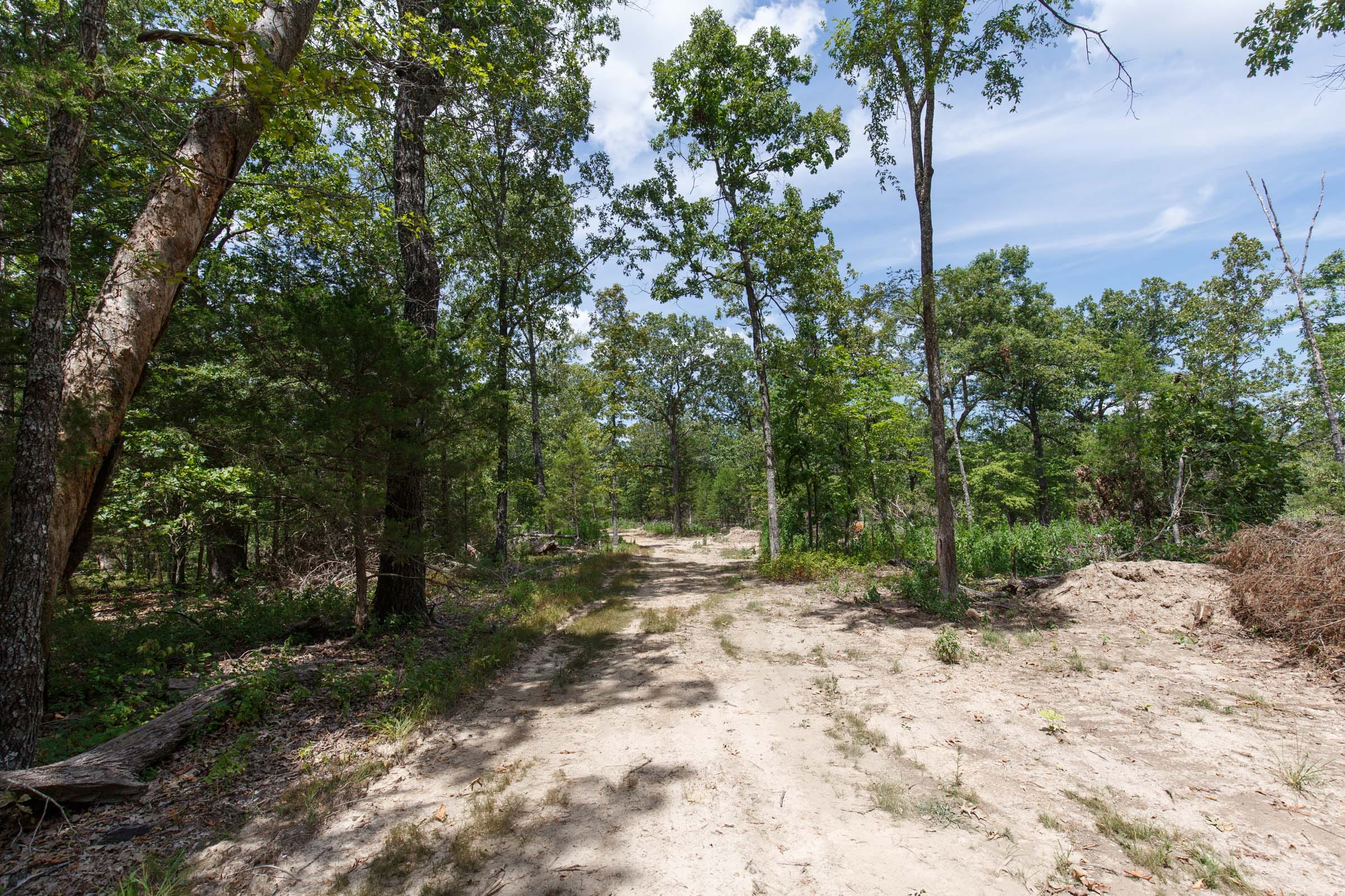 Wildwood Tract 7 photo 6
