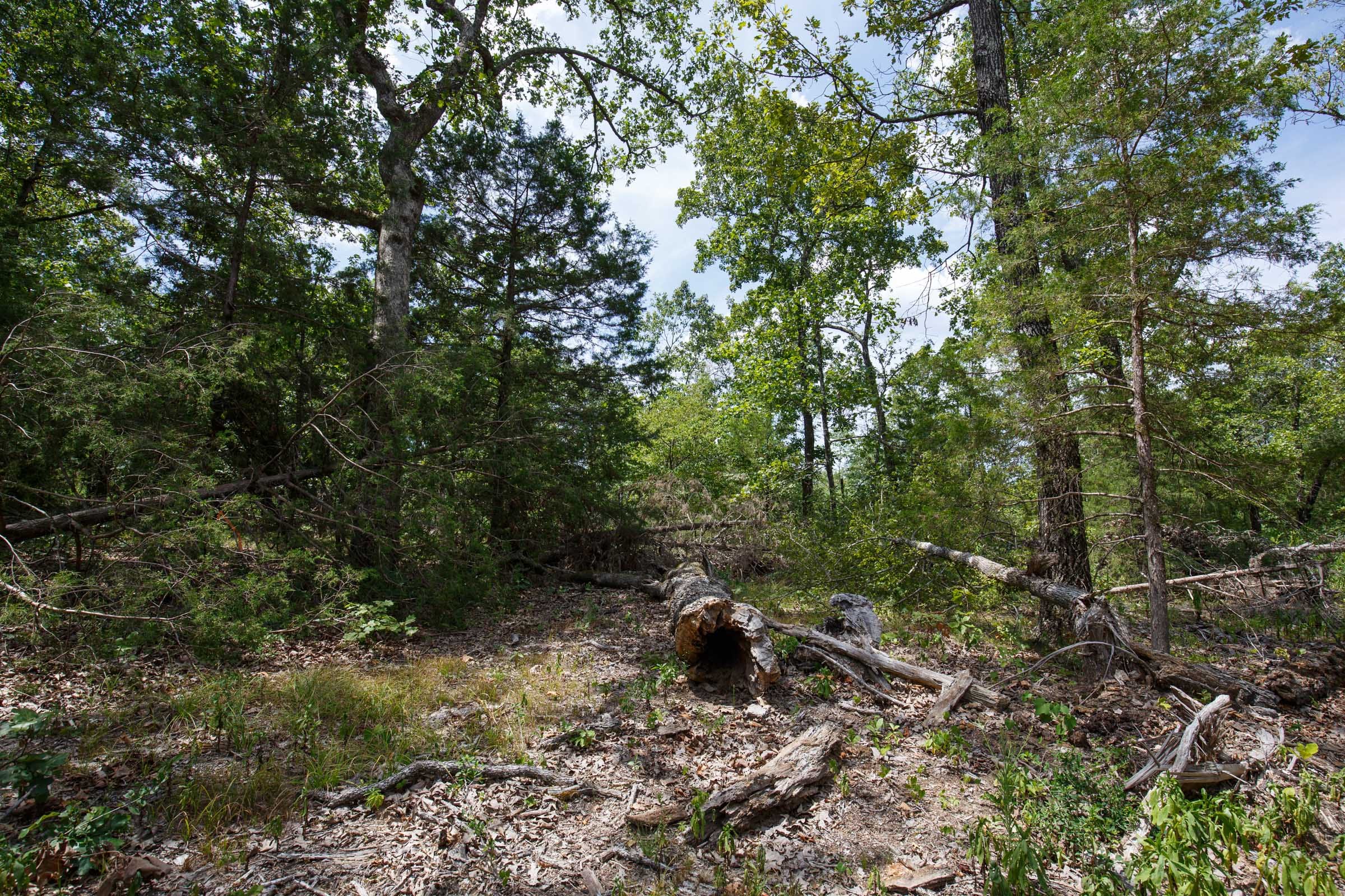 Wildwood Tract 7 photo 7