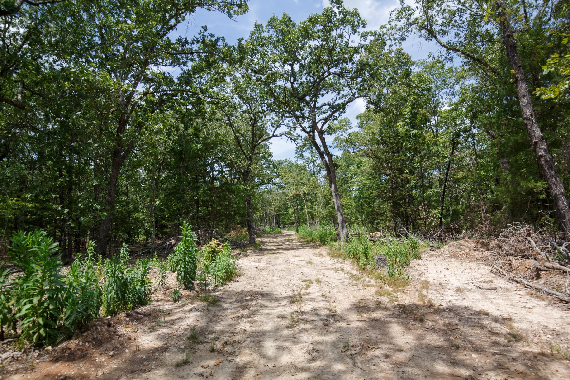 Wildwood Tract 7 photo 1