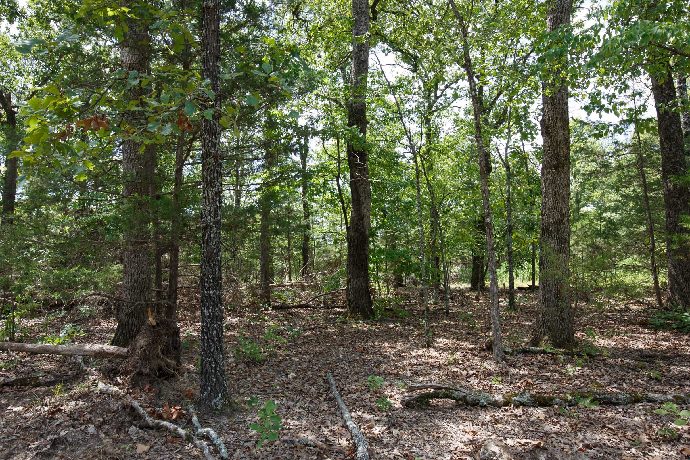Wildwood Tract 7 photo 9