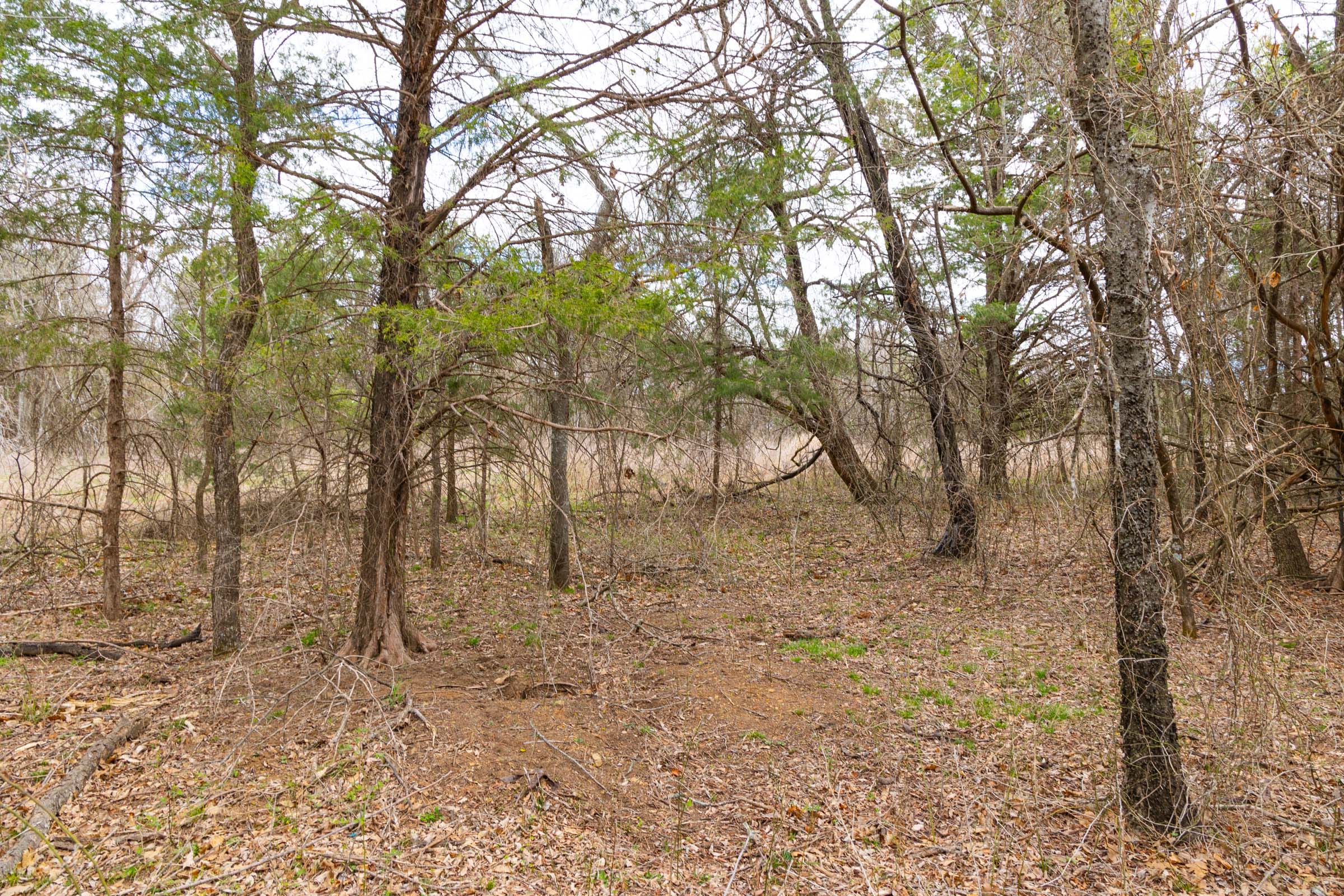 Reserves At Cattail Cove Phase I Tract 30 photo 19