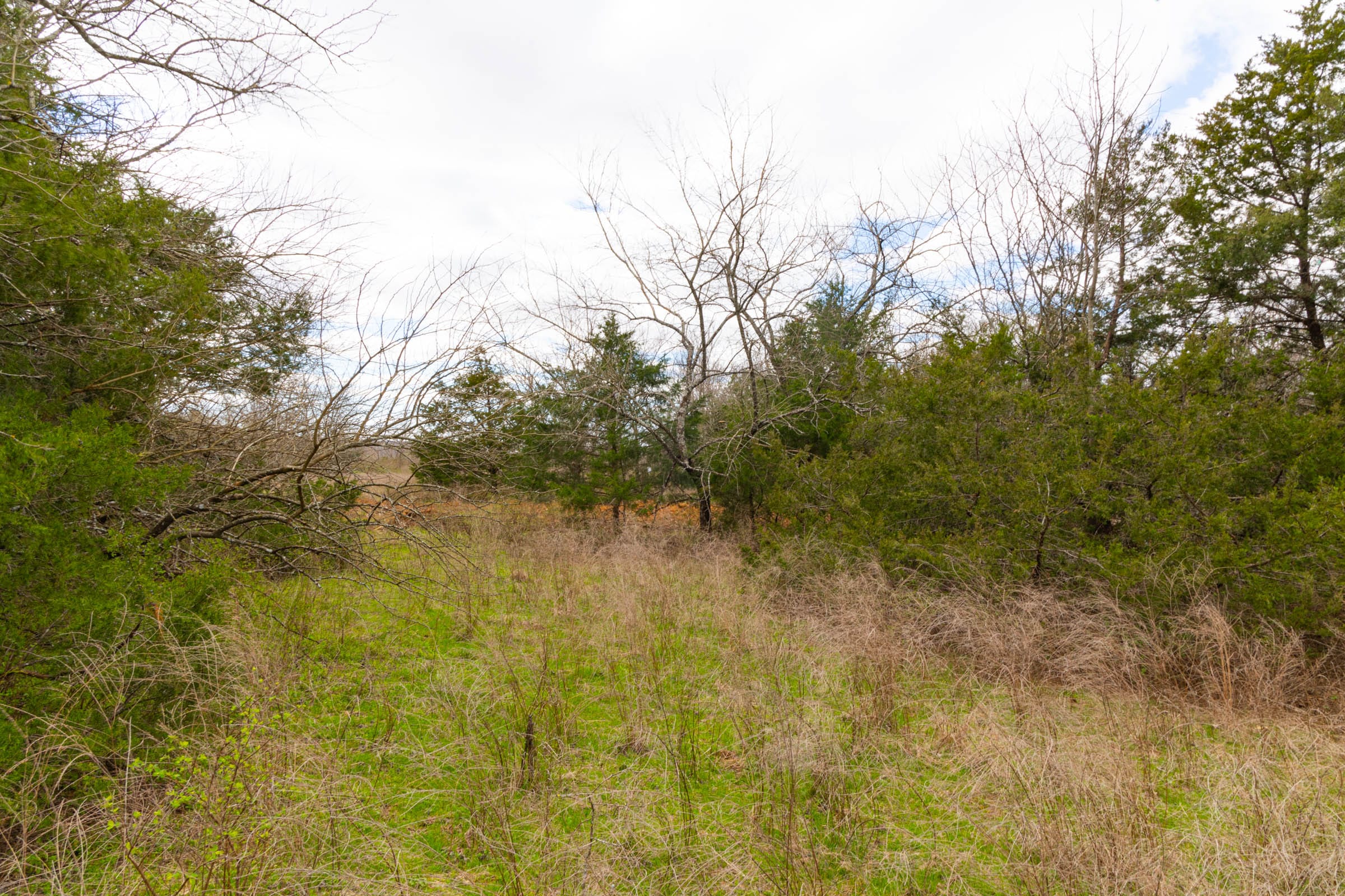 Reserves At Cattail Cove Phase I Tract 30 photo 18