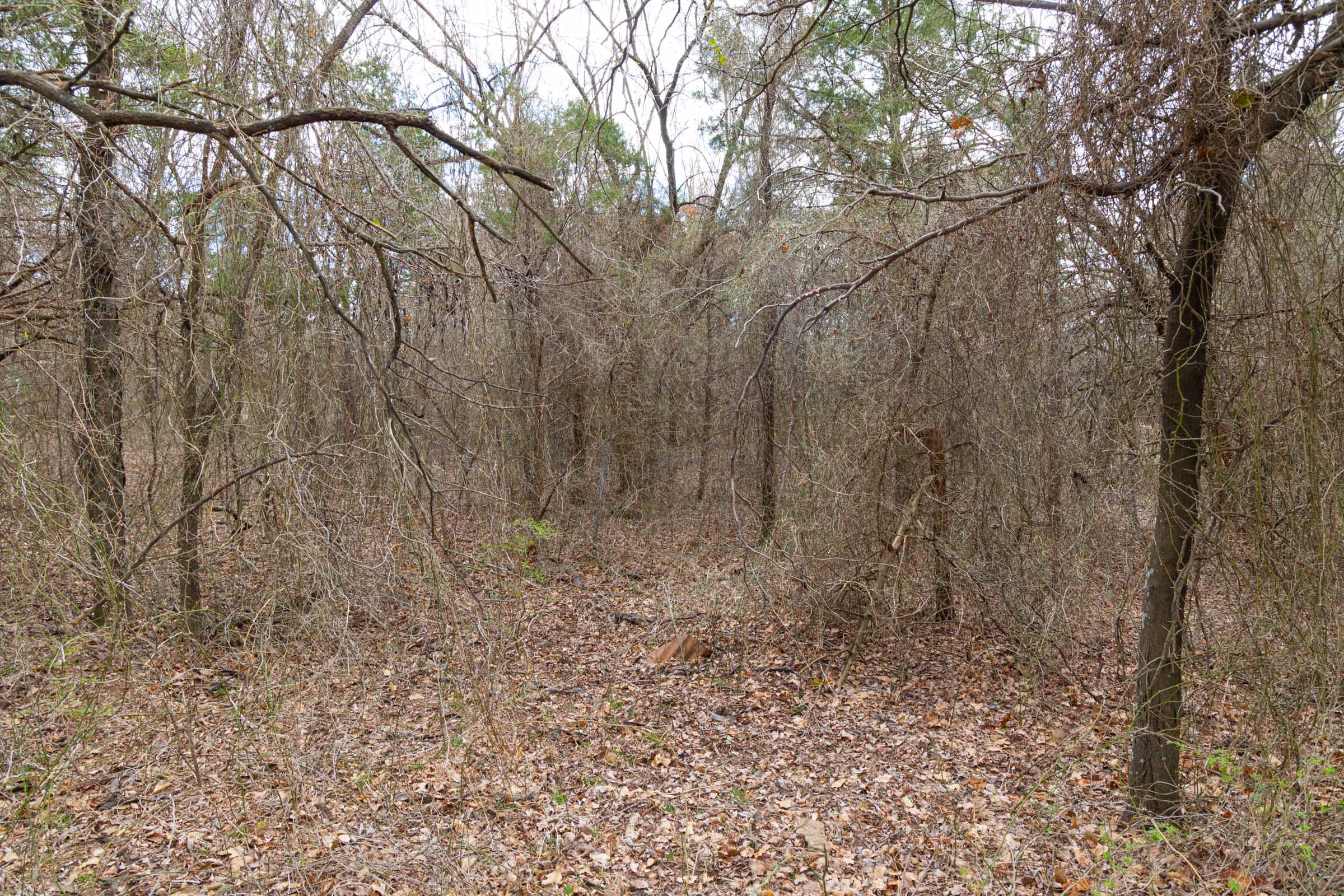 Reserves At Cattail Cove Phase I Tract 30 photo 17
