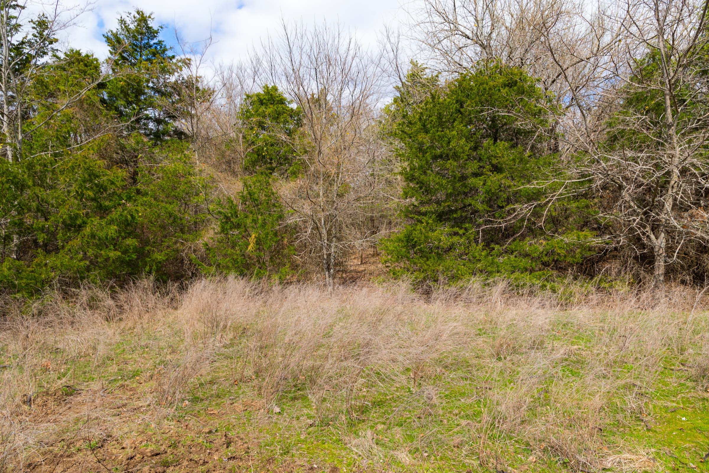 Reserves At Cattail Cove Phase I Tract 30 photo 16