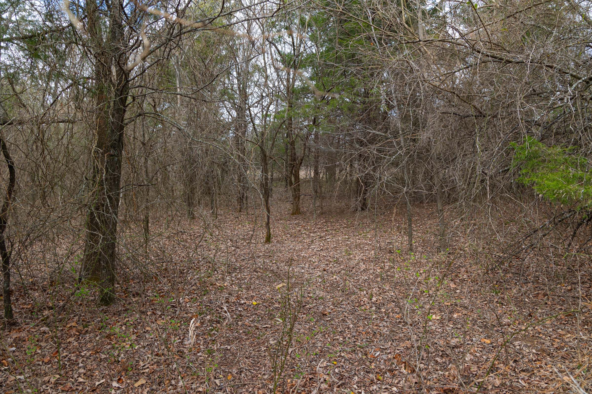 Reserves At Cattail Cove Phase I Tract 30 photo 15