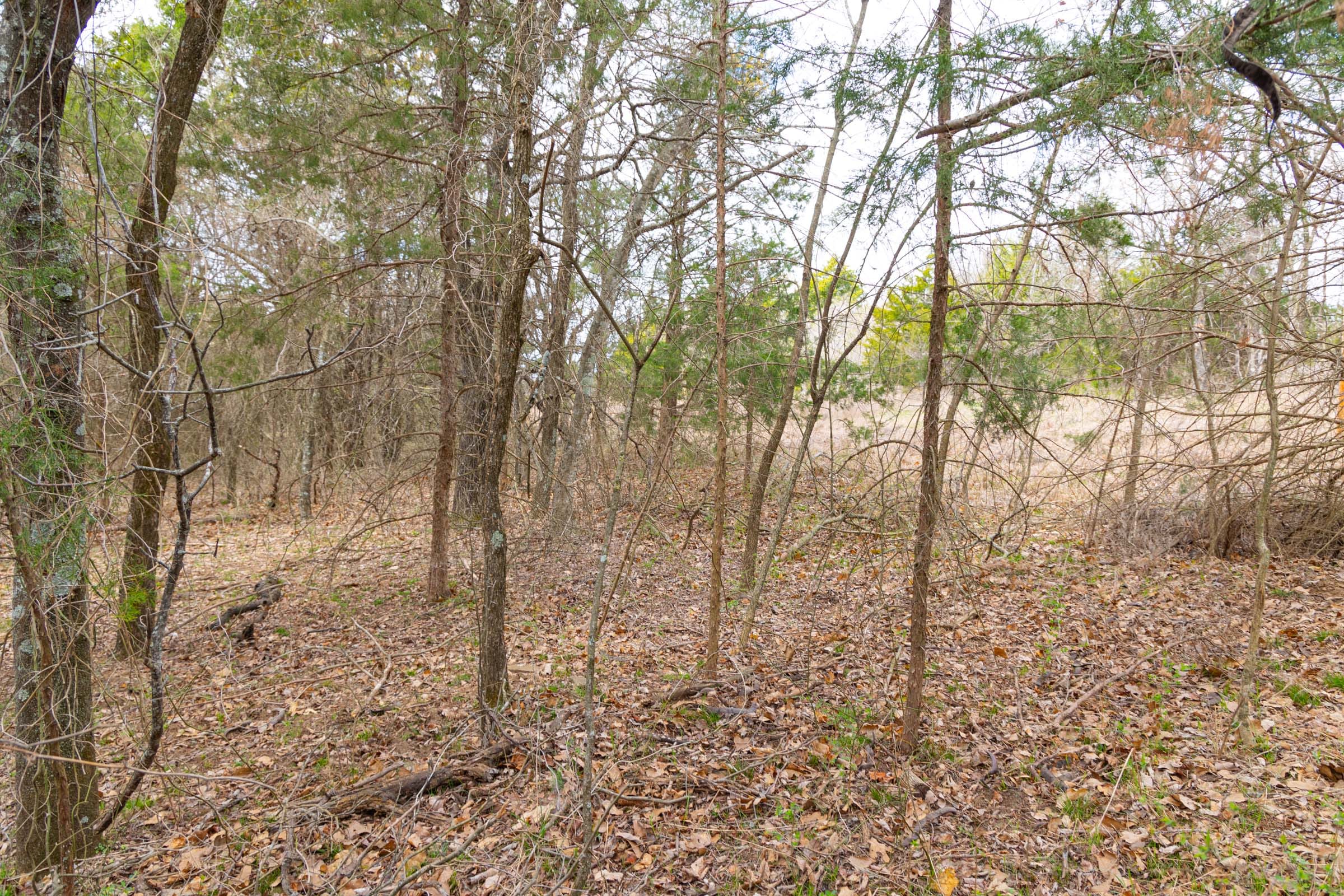 Reserves At Cattail Cove Phase I Tract 30 photo 14