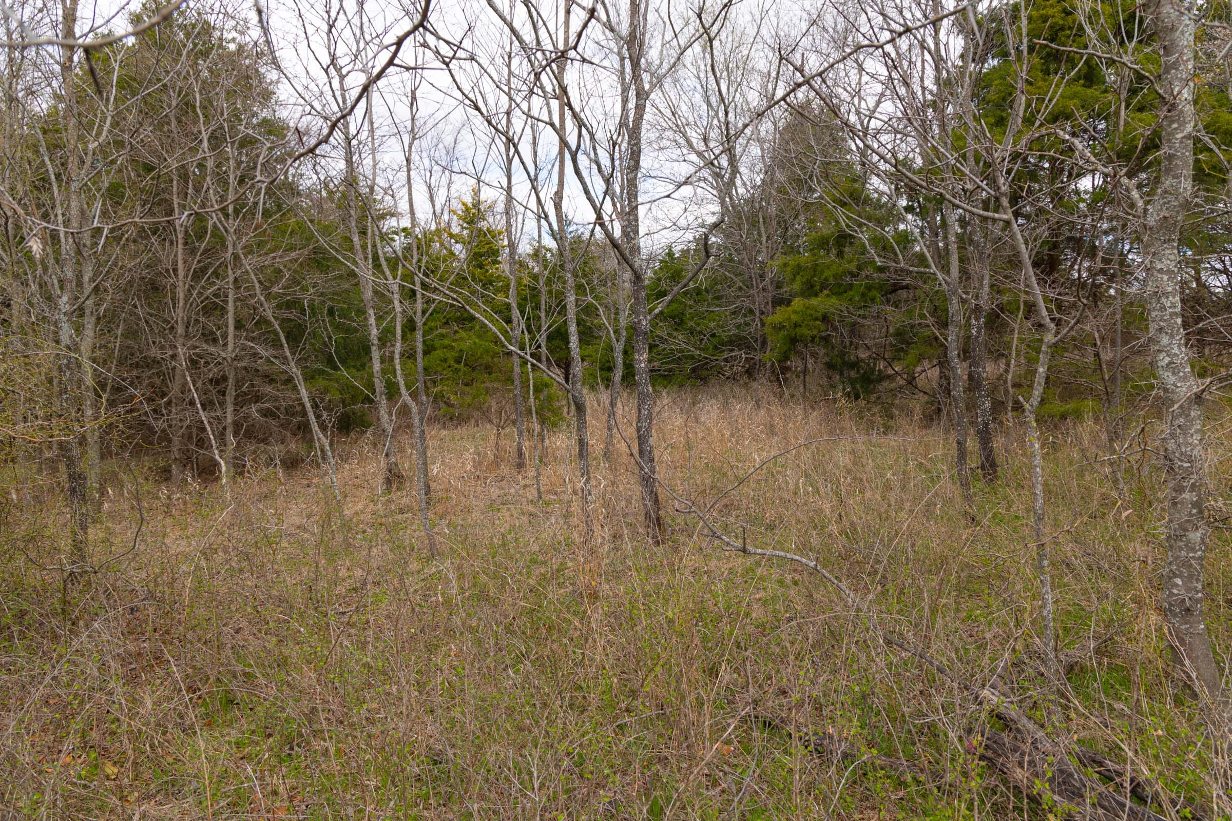 Reserves At Cattail Cove Phase I Tract 30 photo 13