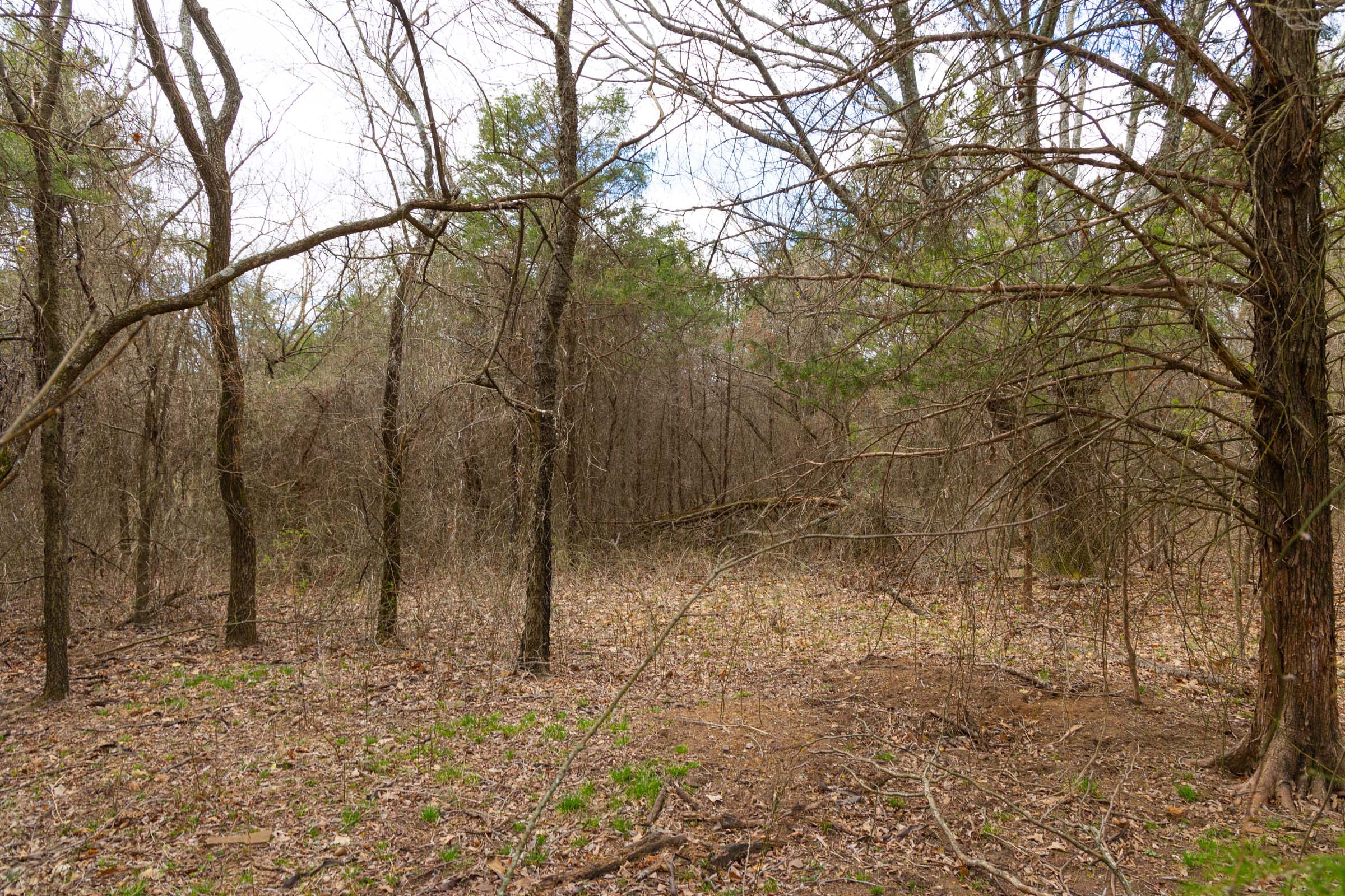 Reserves At Cattail Cove Phase I Tract 30 photo 12