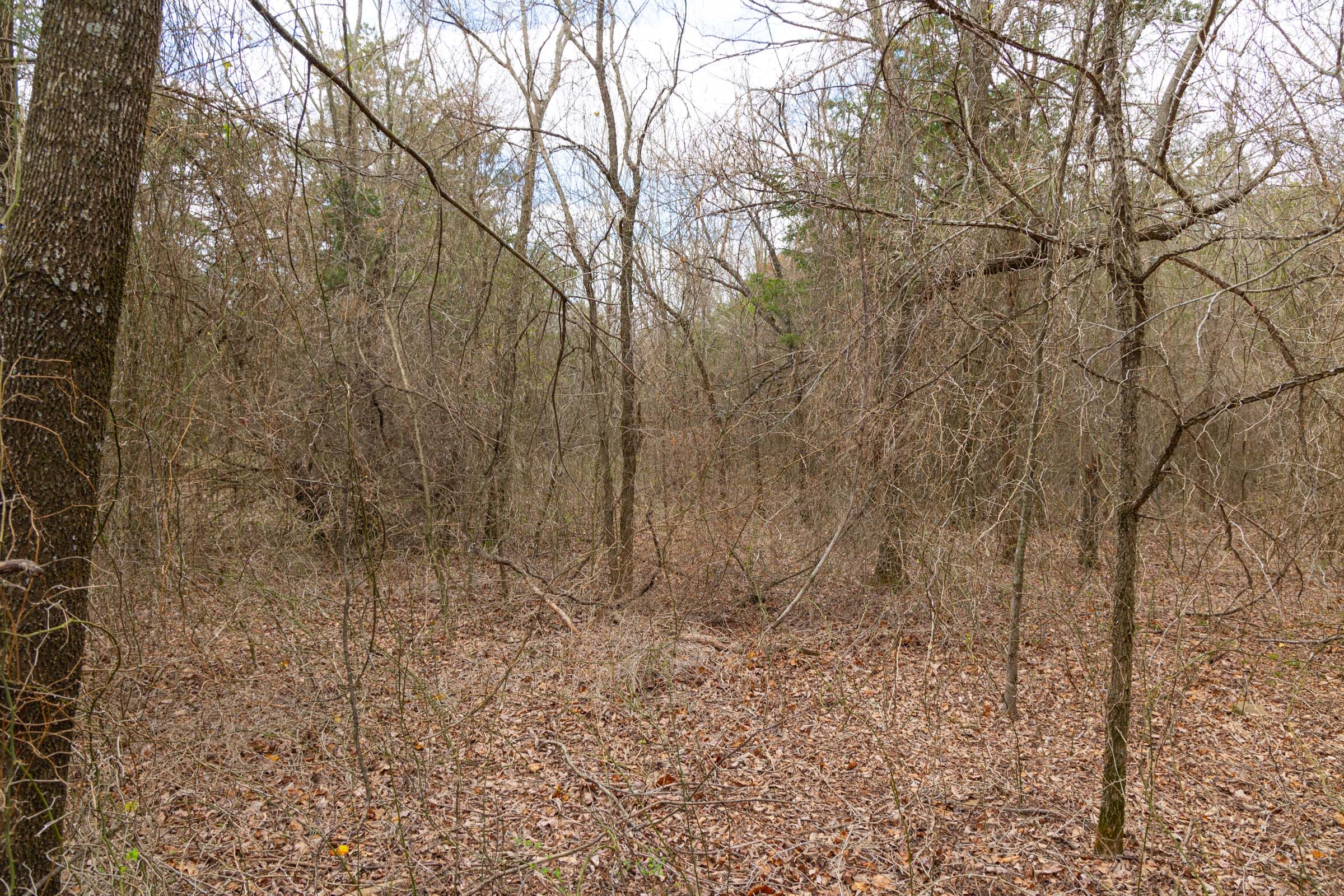 Reserves At Cattail Cove Phase I Tract 30 photo 11