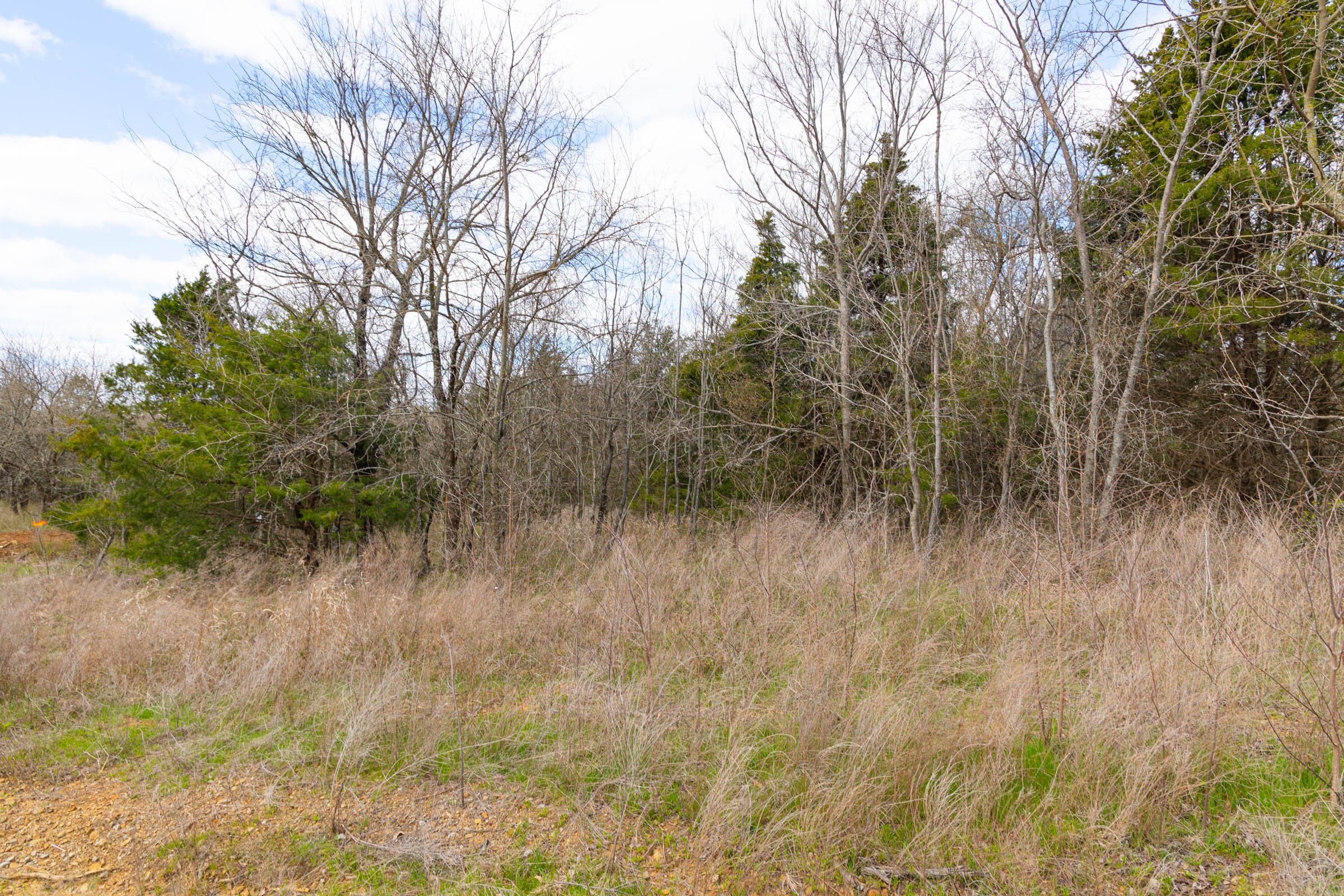 Reserves At Cattail Cove Phase I Tract 30 photo 8