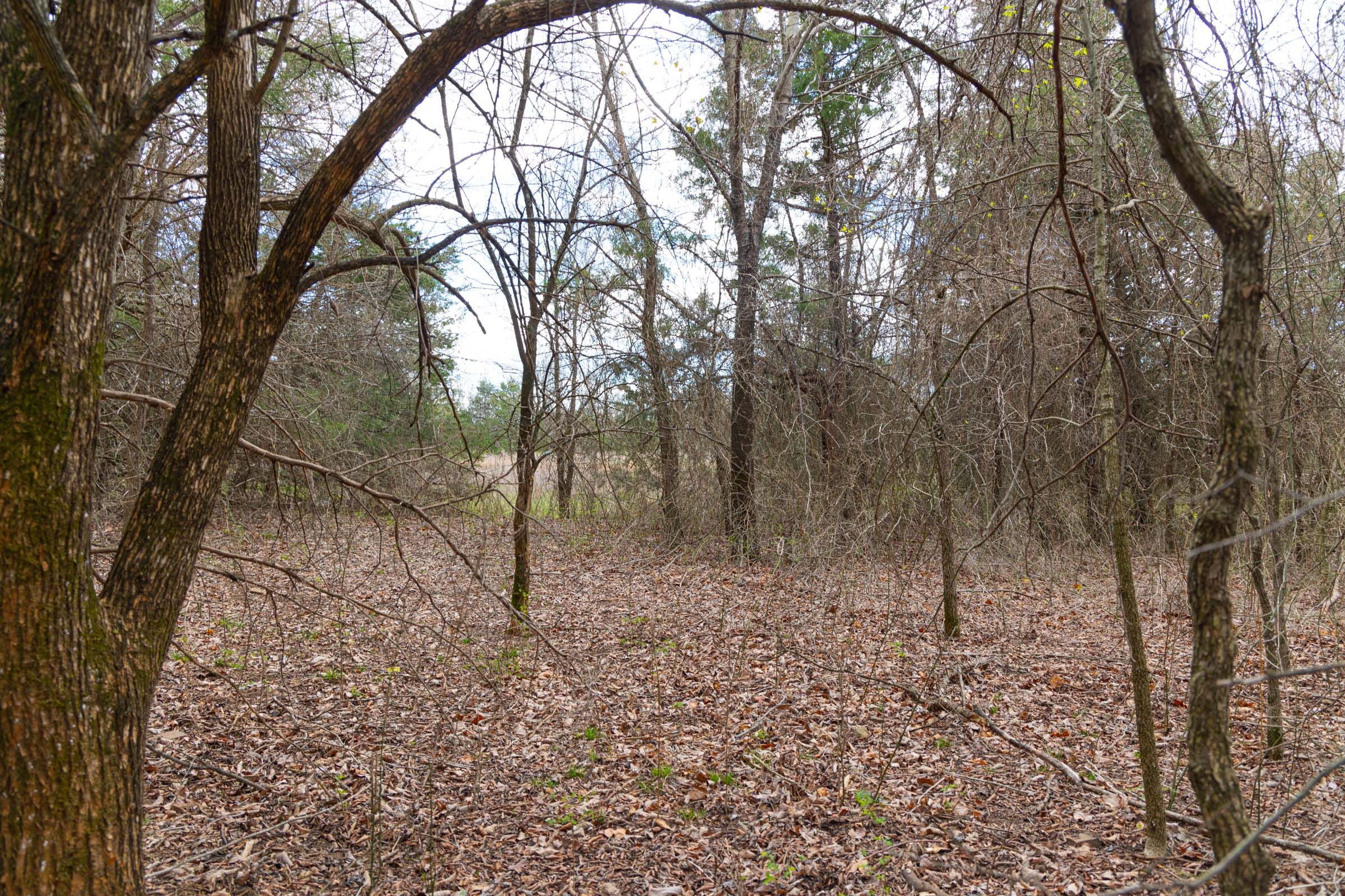 Reserves At Cattail Cove Phase I Tract 30 photo 7