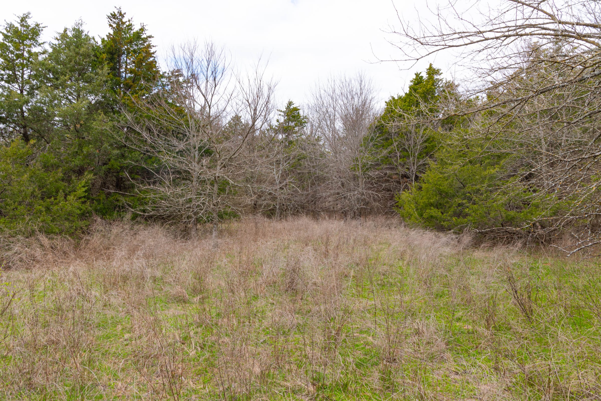 Reserves At Cattail Cove Phase I Tract 30 photo 6