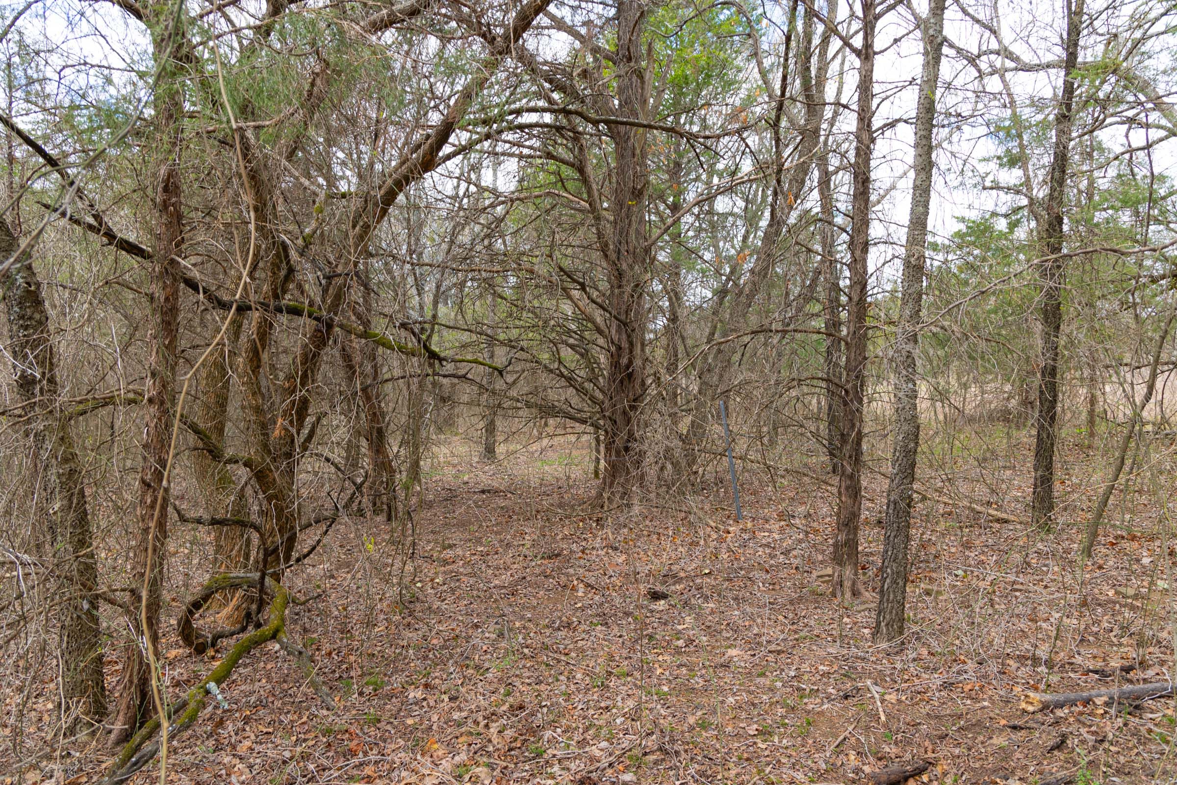 Reserves At Cattail Cove Phase I Tract 30 photo 3