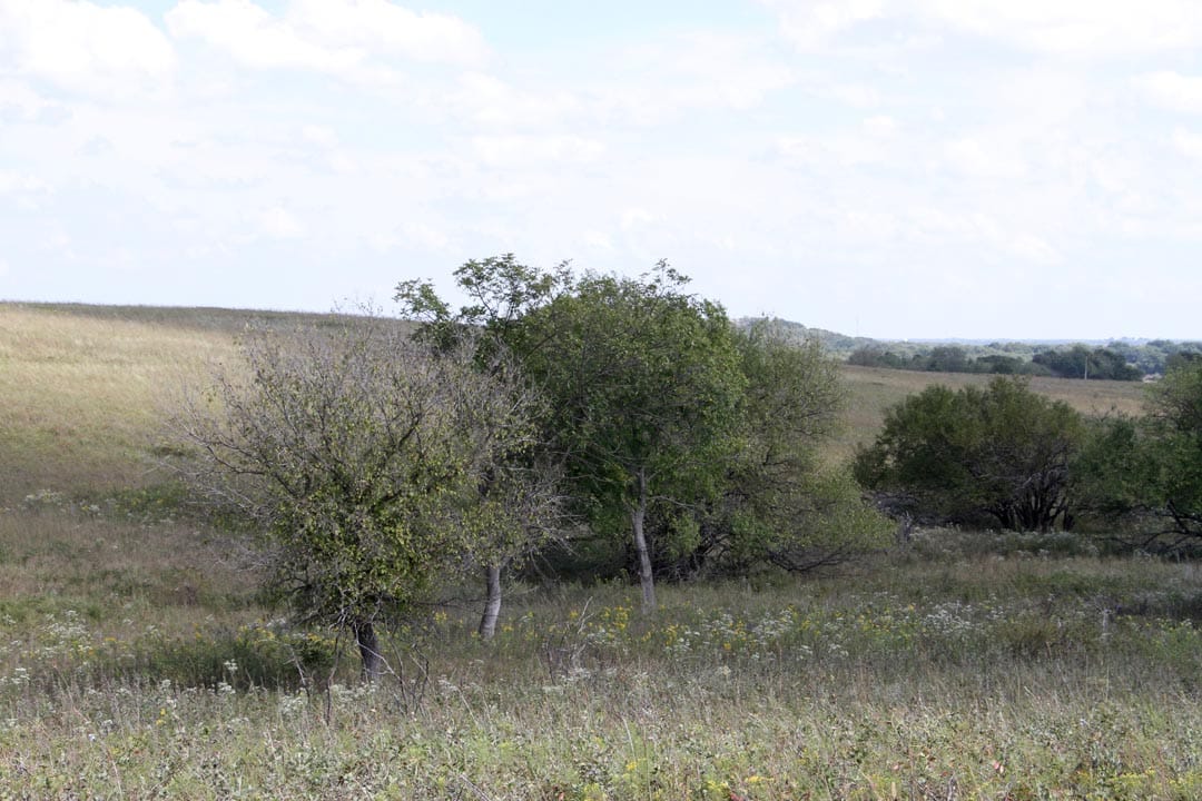 Cowboy Meadows Tract 5 photo 3
