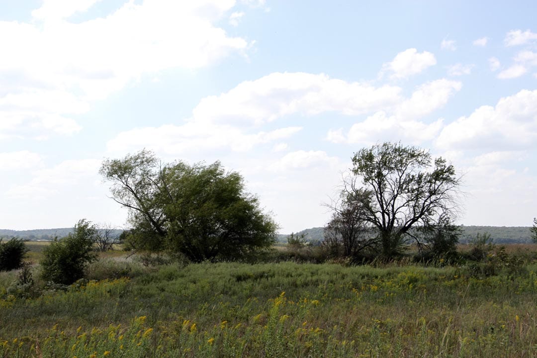 Cowboy Meadows Tract 5 photo 4
