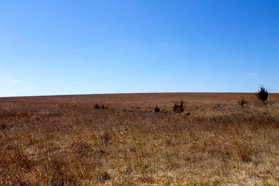 Cowboy Meadows Tract 5 photo 6