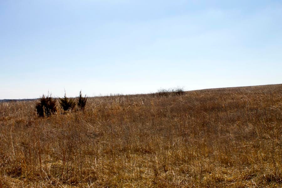 Cowboy Meadows Tract 5 photo 7