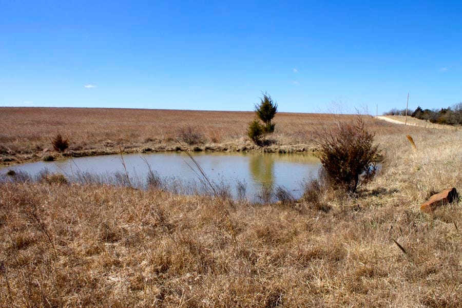 Cowboy Meadows Tract 5 photo 8
