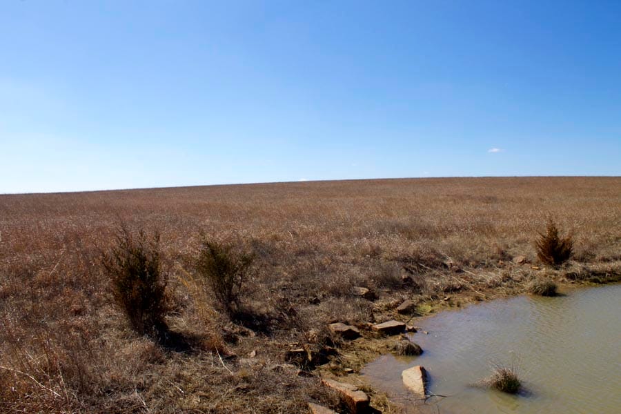 Cowboy Meadows Tract 5 photo 11