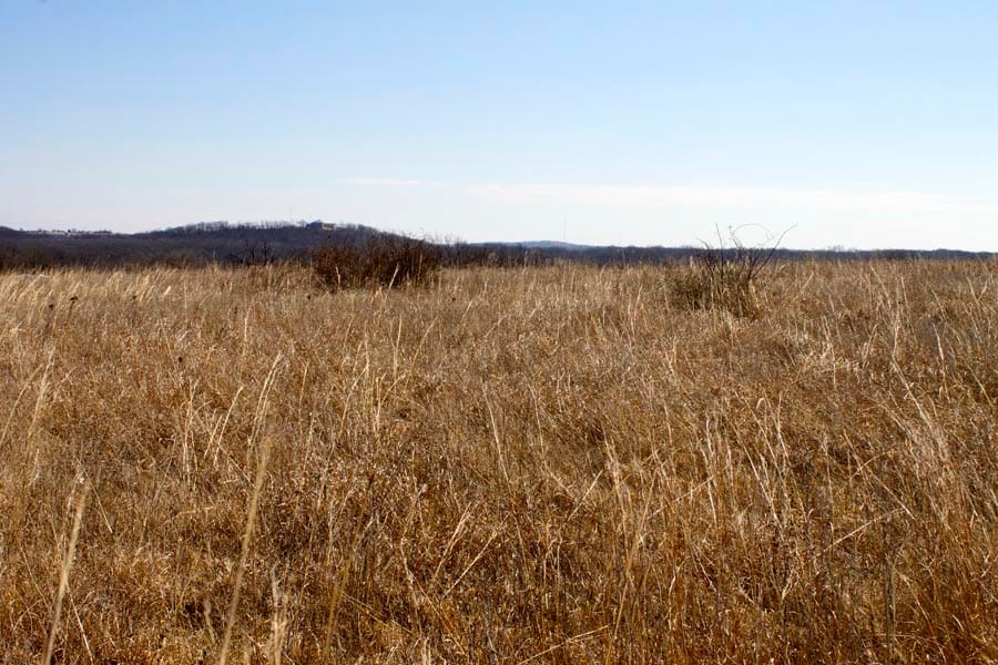 Cowboy Meadows Tract 5 photo 12