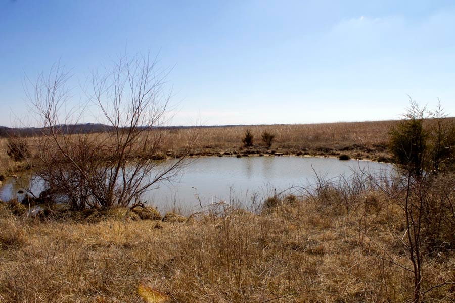 Cowboy Meadows Tract 5 photo 13