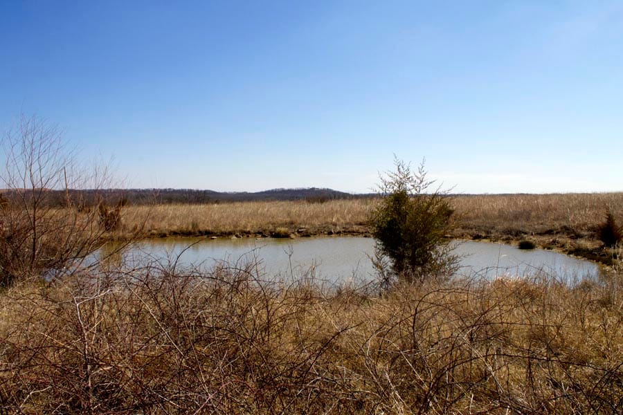 Cowboy Meadows Tract 5 photo 14