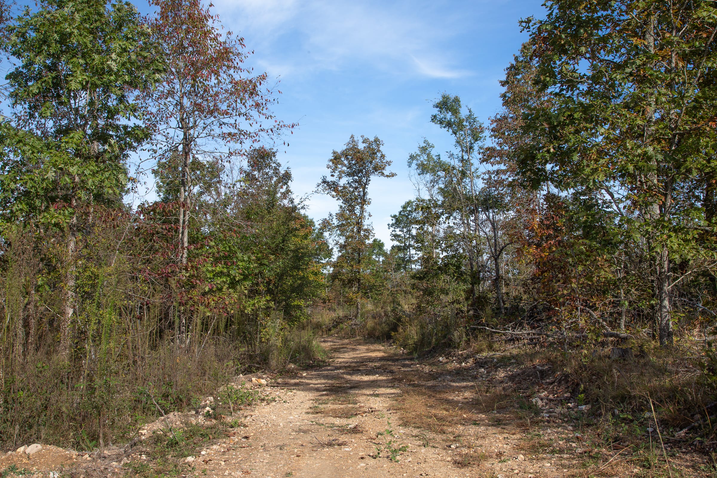 Borgmann’s Hollow Phase IV Tract 126 photo 1