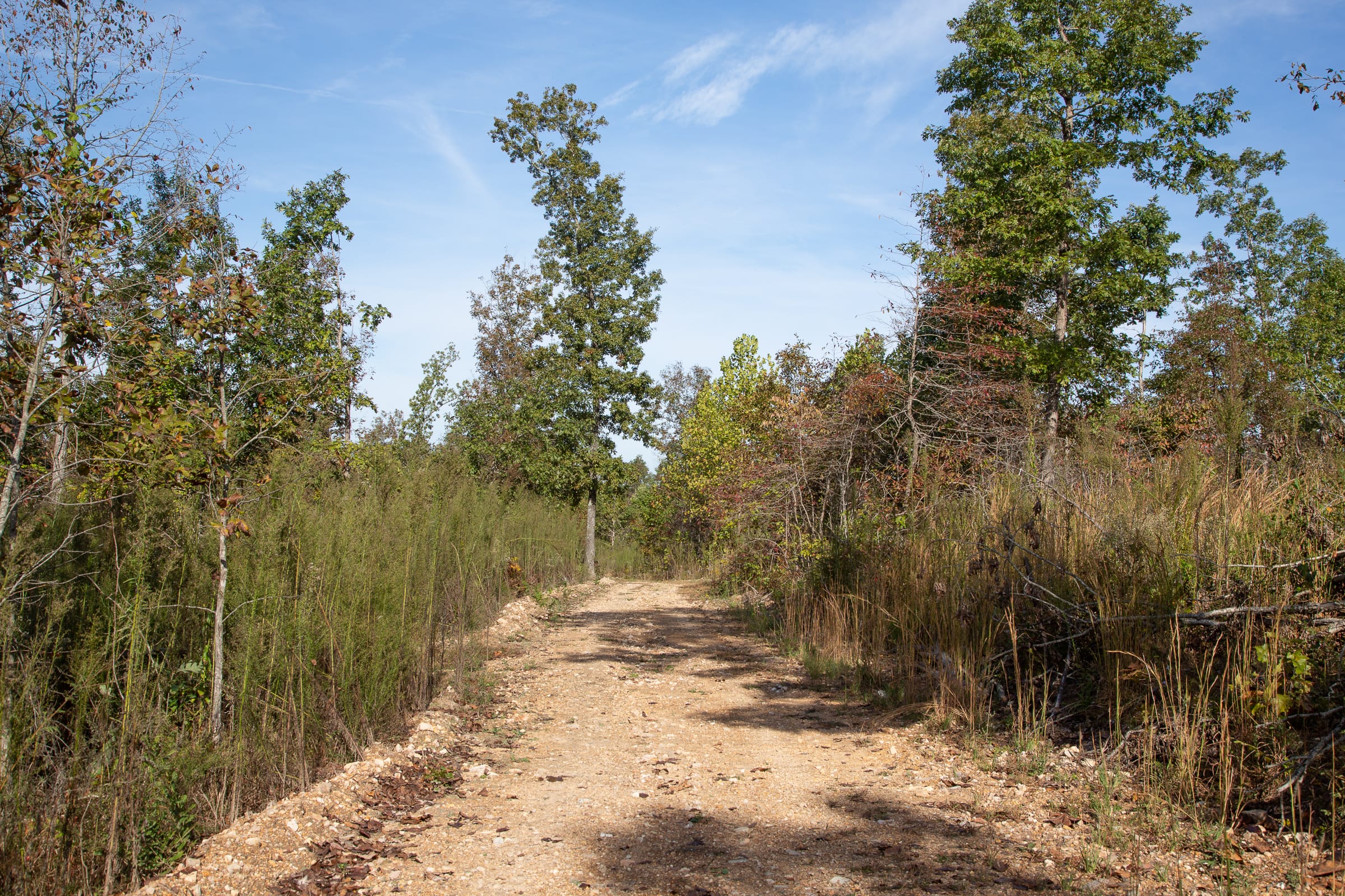 Borgmann’s Hollow Phase IV Tract 126 photo 6