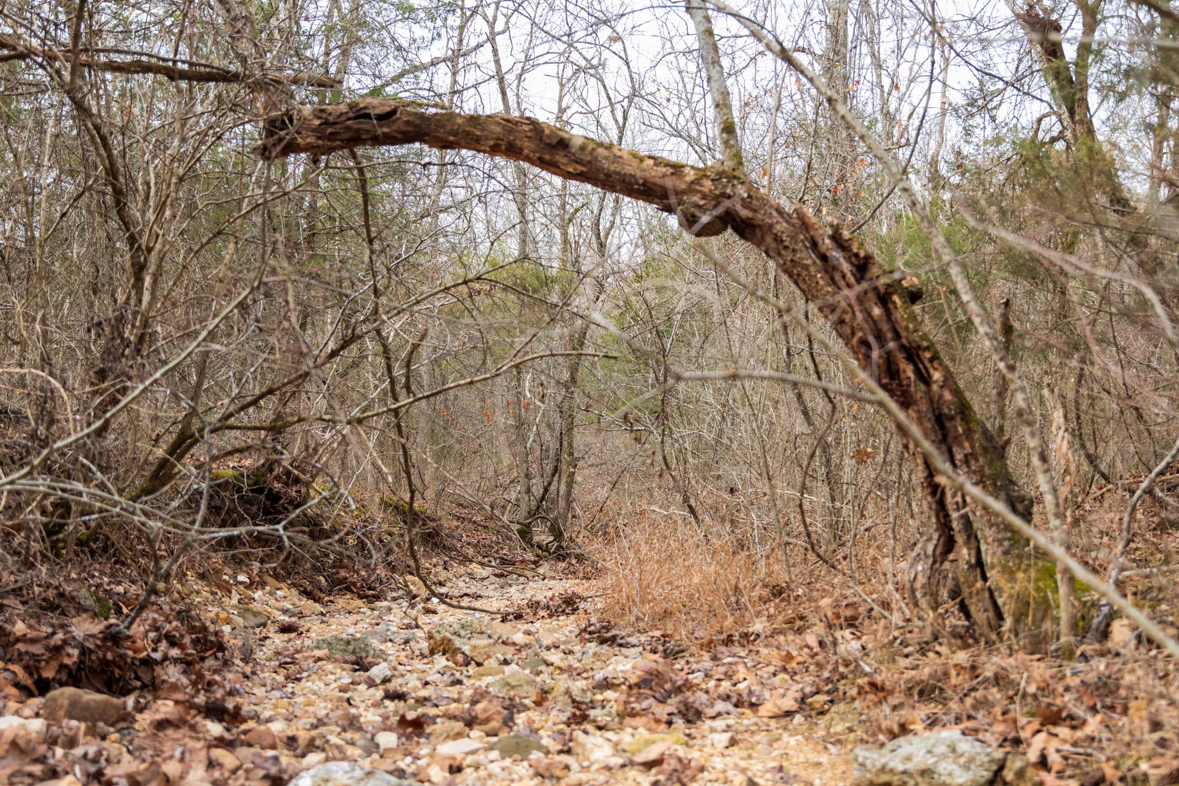 Crossroads Tract 18 photo 2