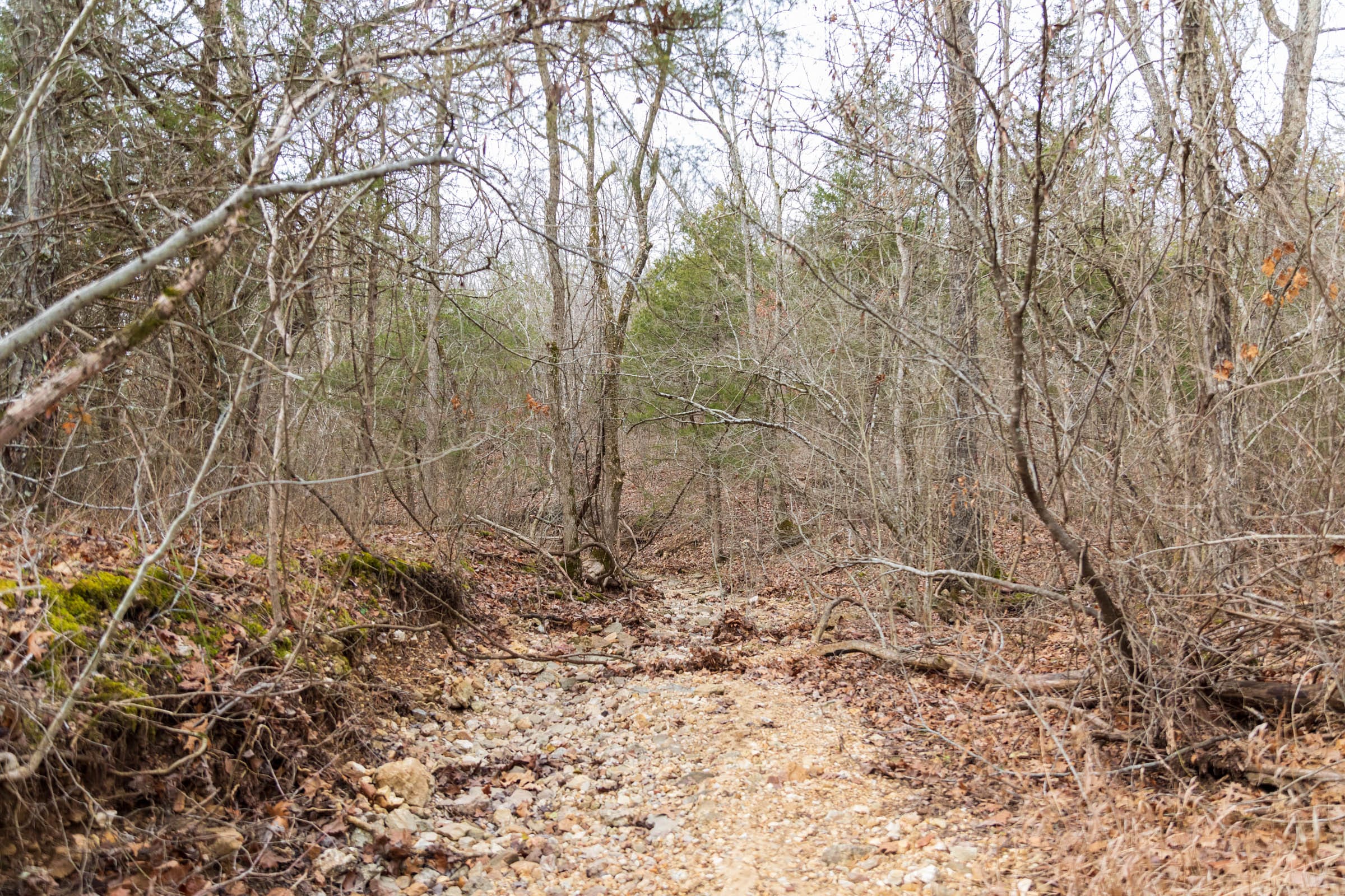 Crossroads Tract 18 photo 3