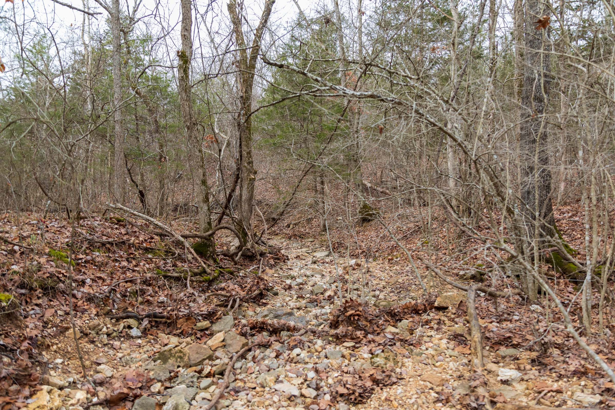 Crossroads Tract 18 photo 4