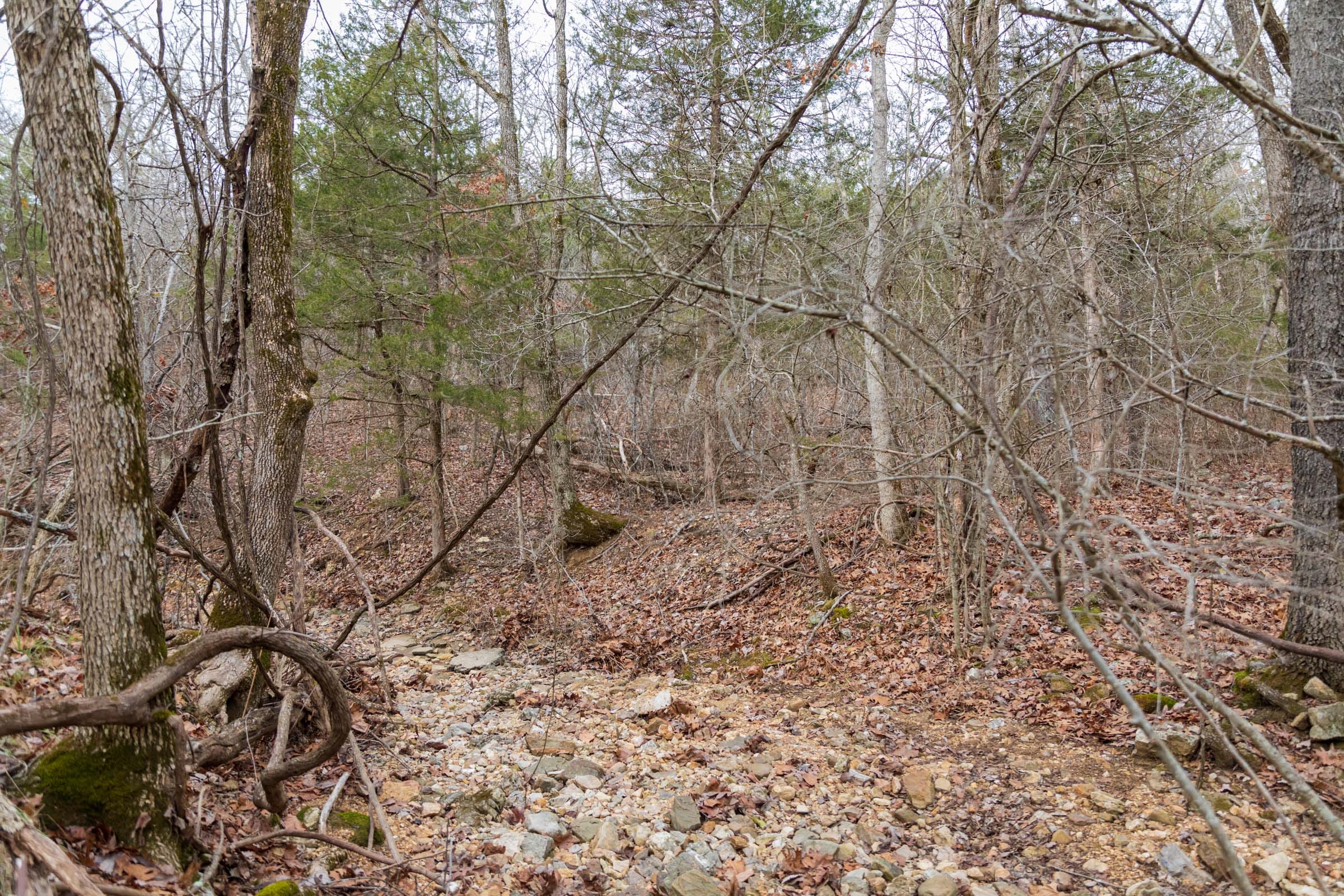 Crossroads Tract 18 photo 5