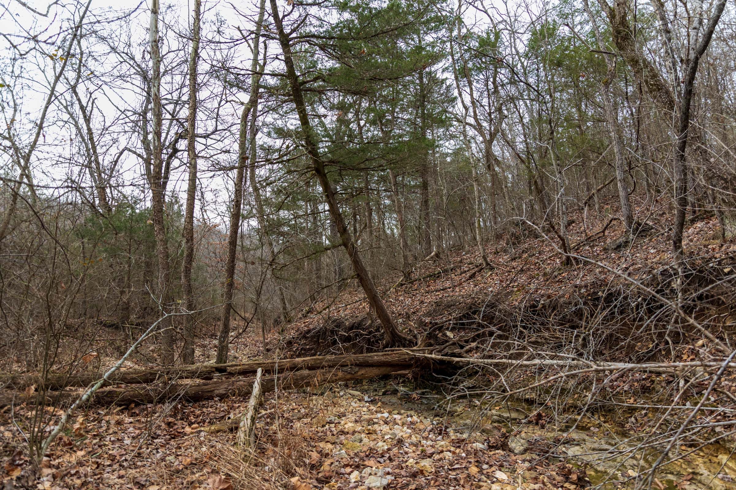 Crossroads Tract 18 photo 7