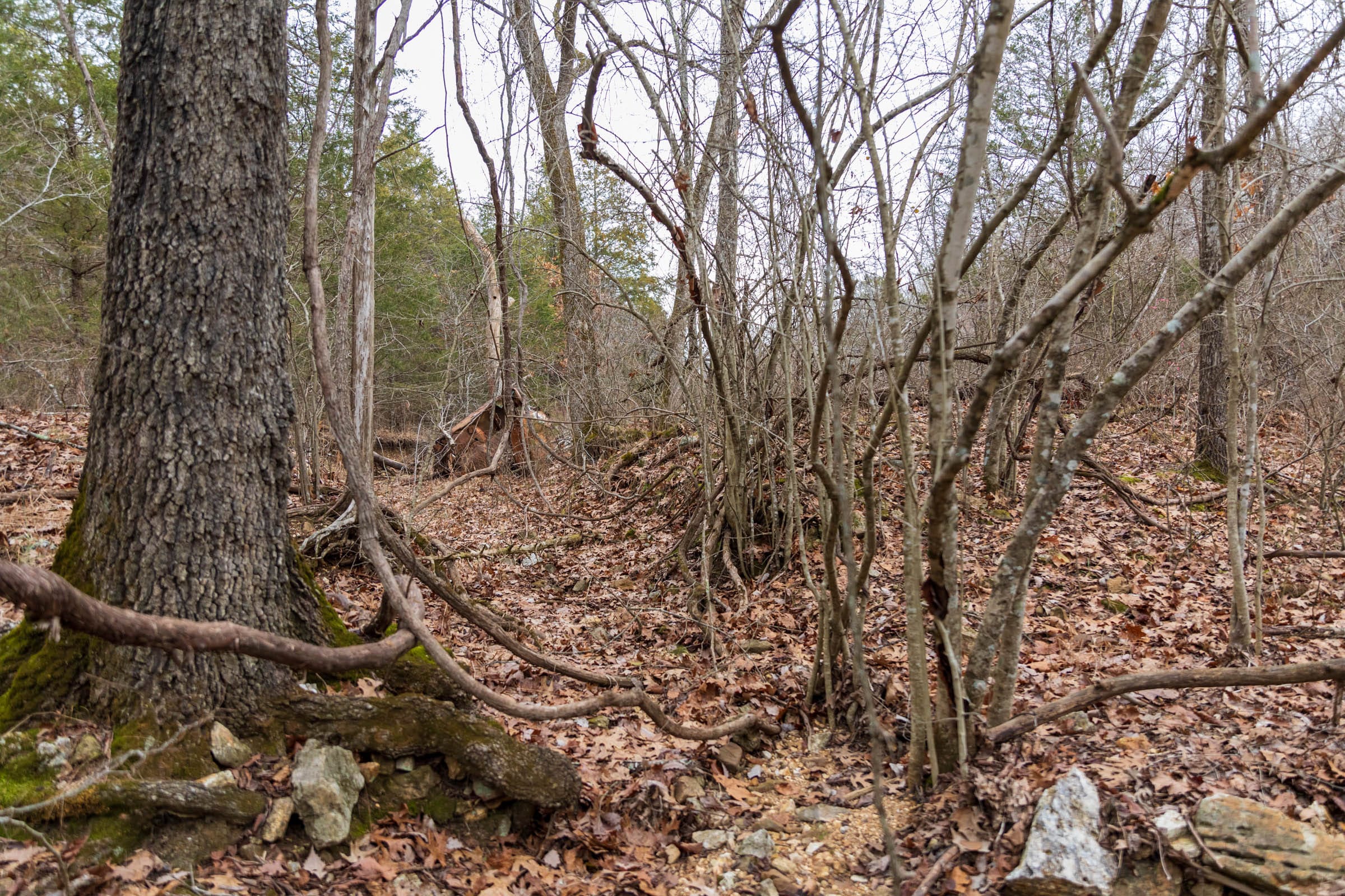Crossroads Tract 18 photo 9