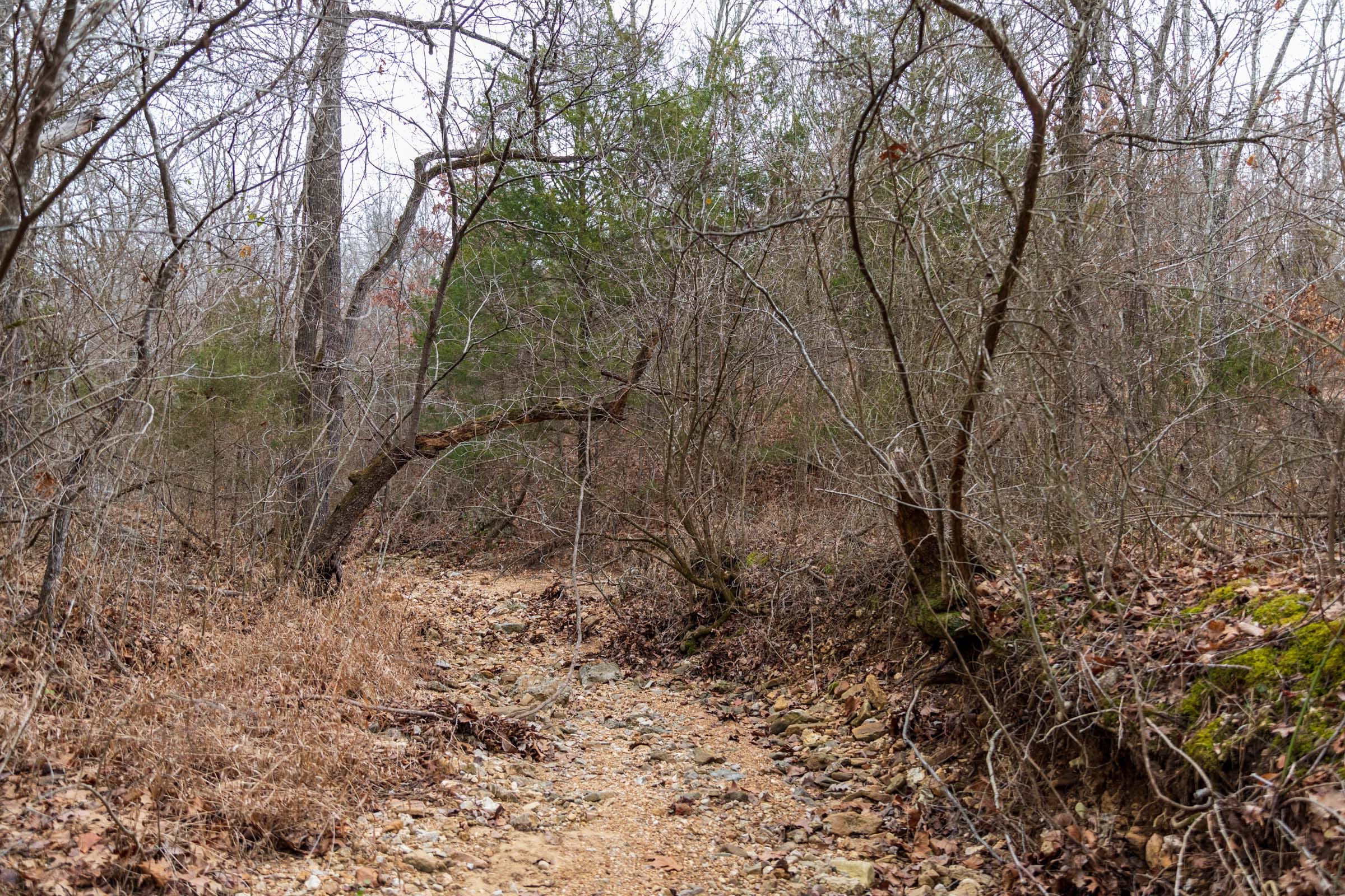 Crossroads Tract 18 photo 10