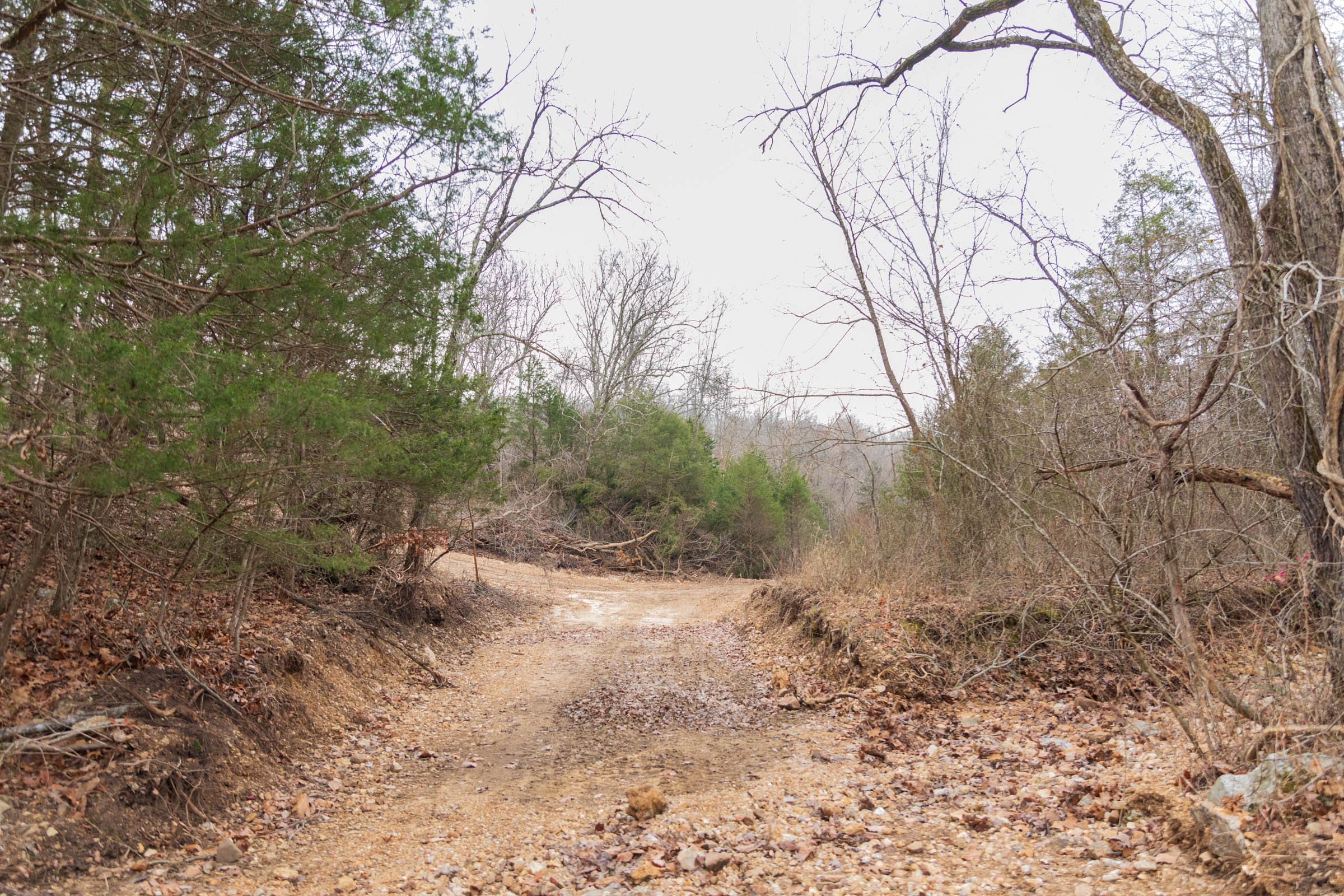 Crossroads Tract 18 photo 11