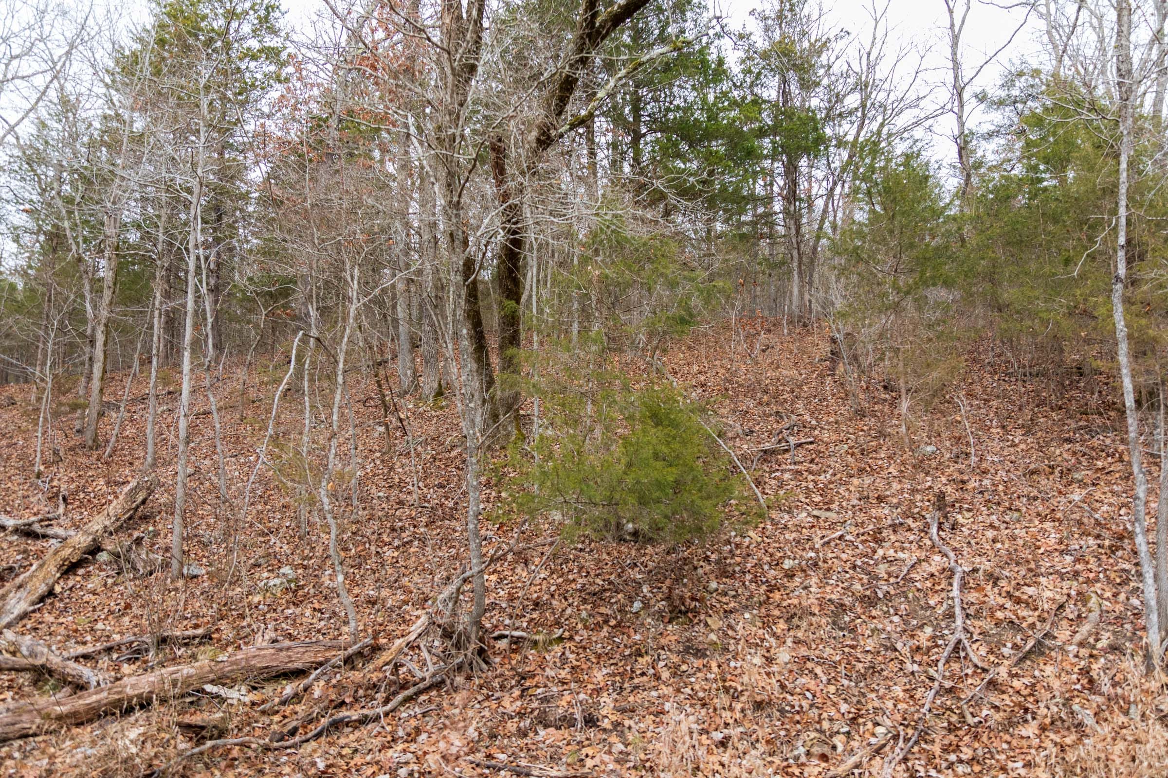 Crossroads Tract 18 photo 13