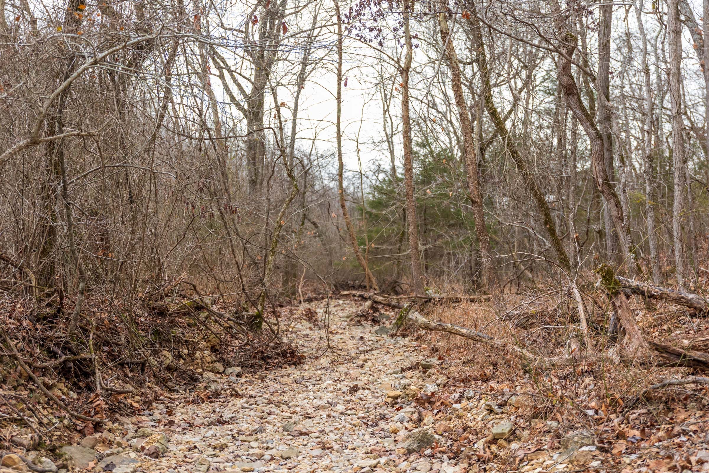 Crossroads Tract 18 photo 15