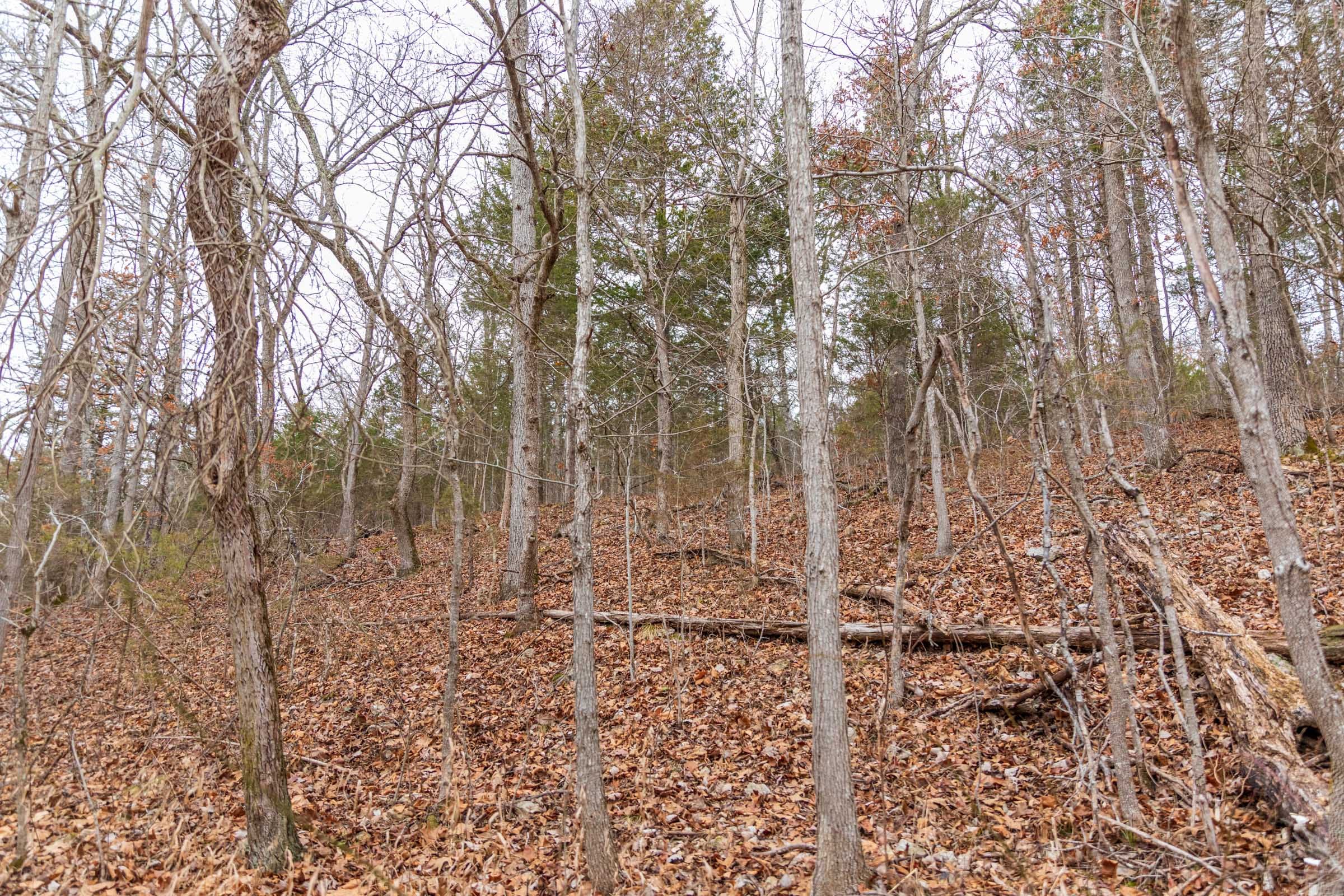 Crossroads Tract 18 photo 16