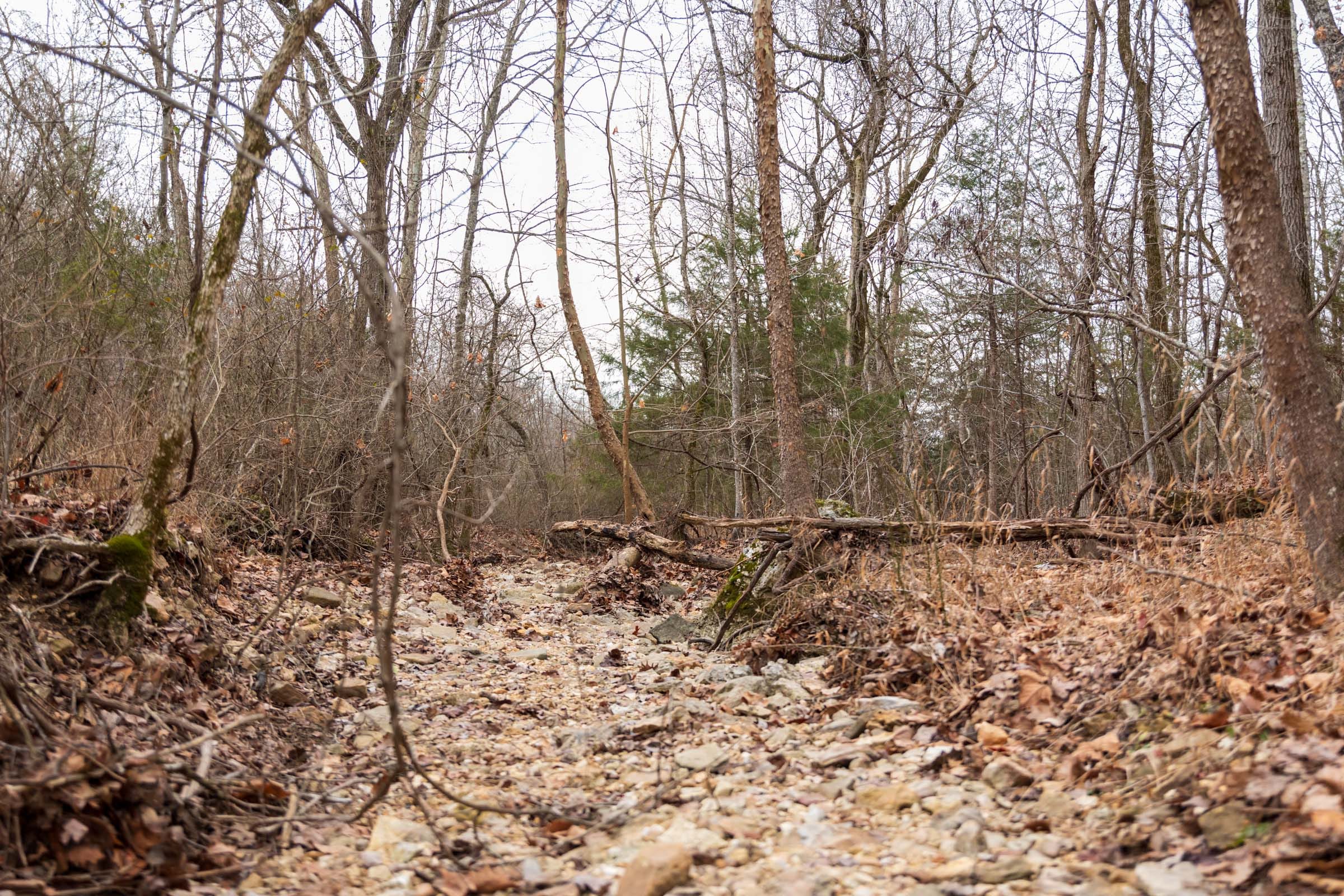 Crossroads Tract 18 photo 17