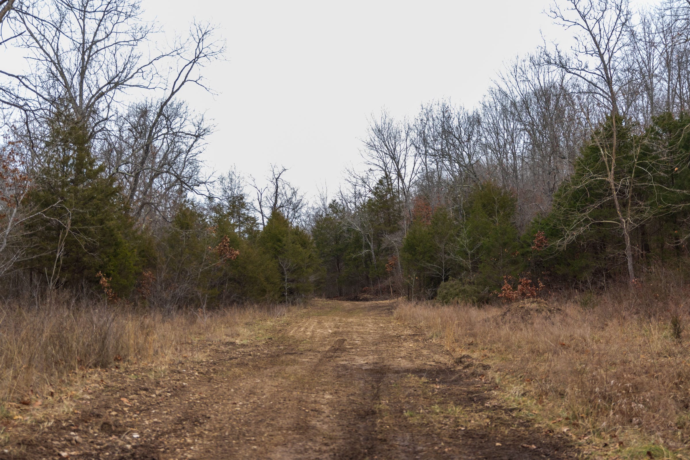 Crossroads Tract 18 photo 19
