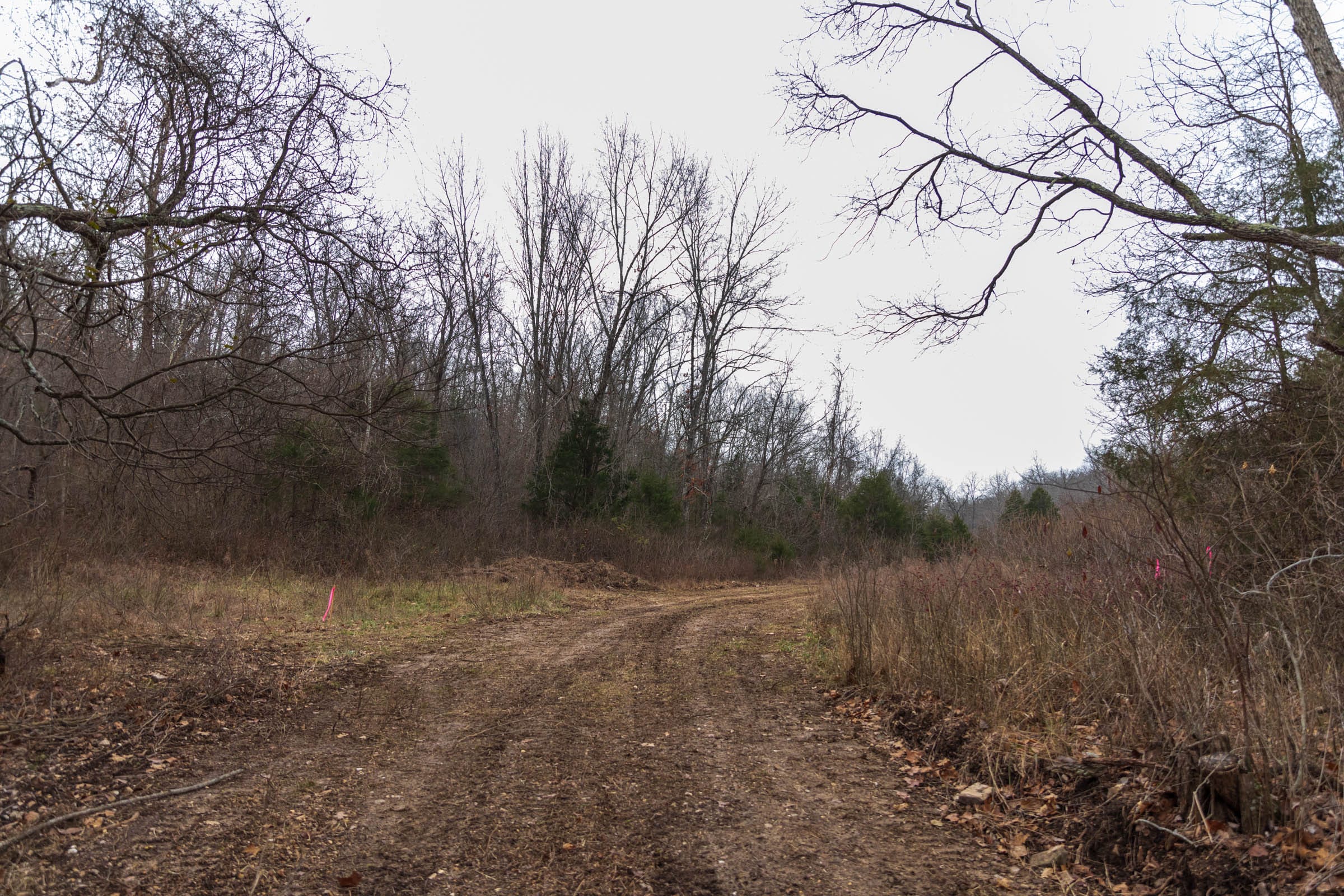 Crossroads Tract 18 photo 20