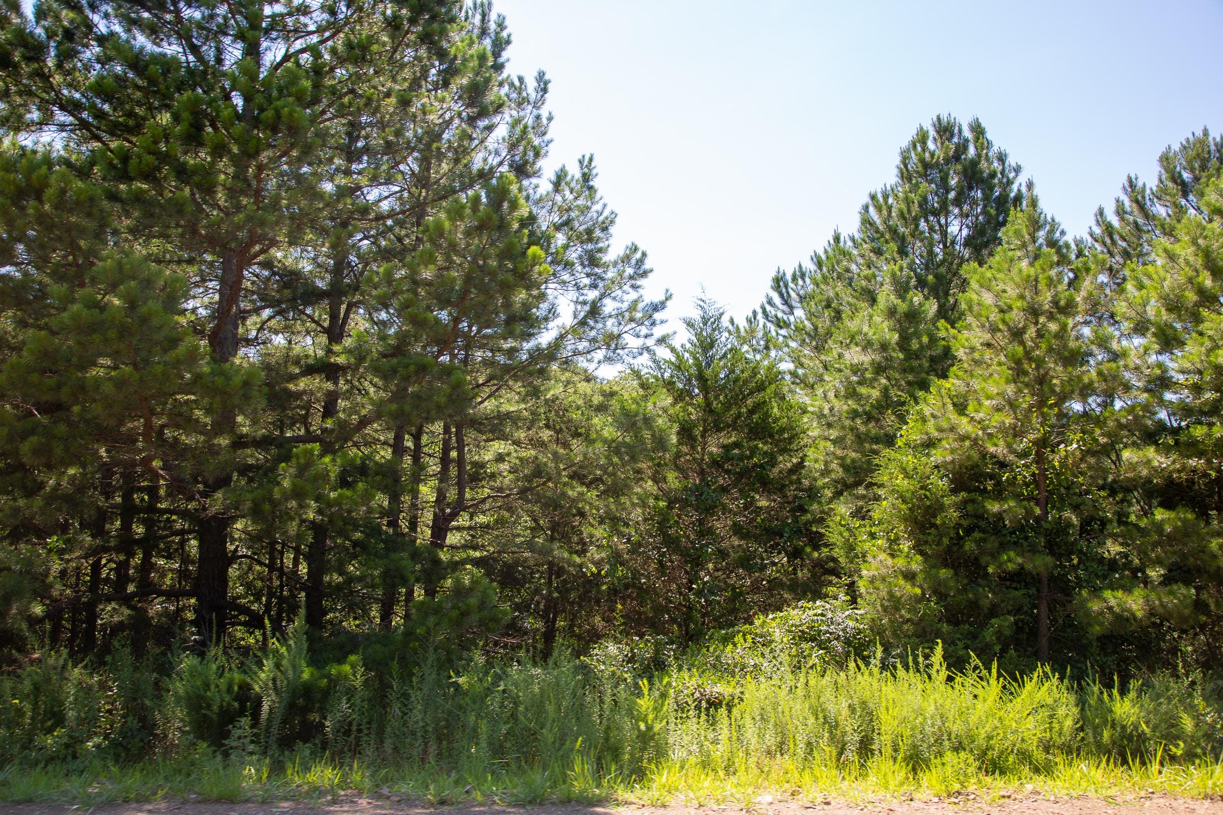Tyler Stone Ranch Tract 2 photo 11
