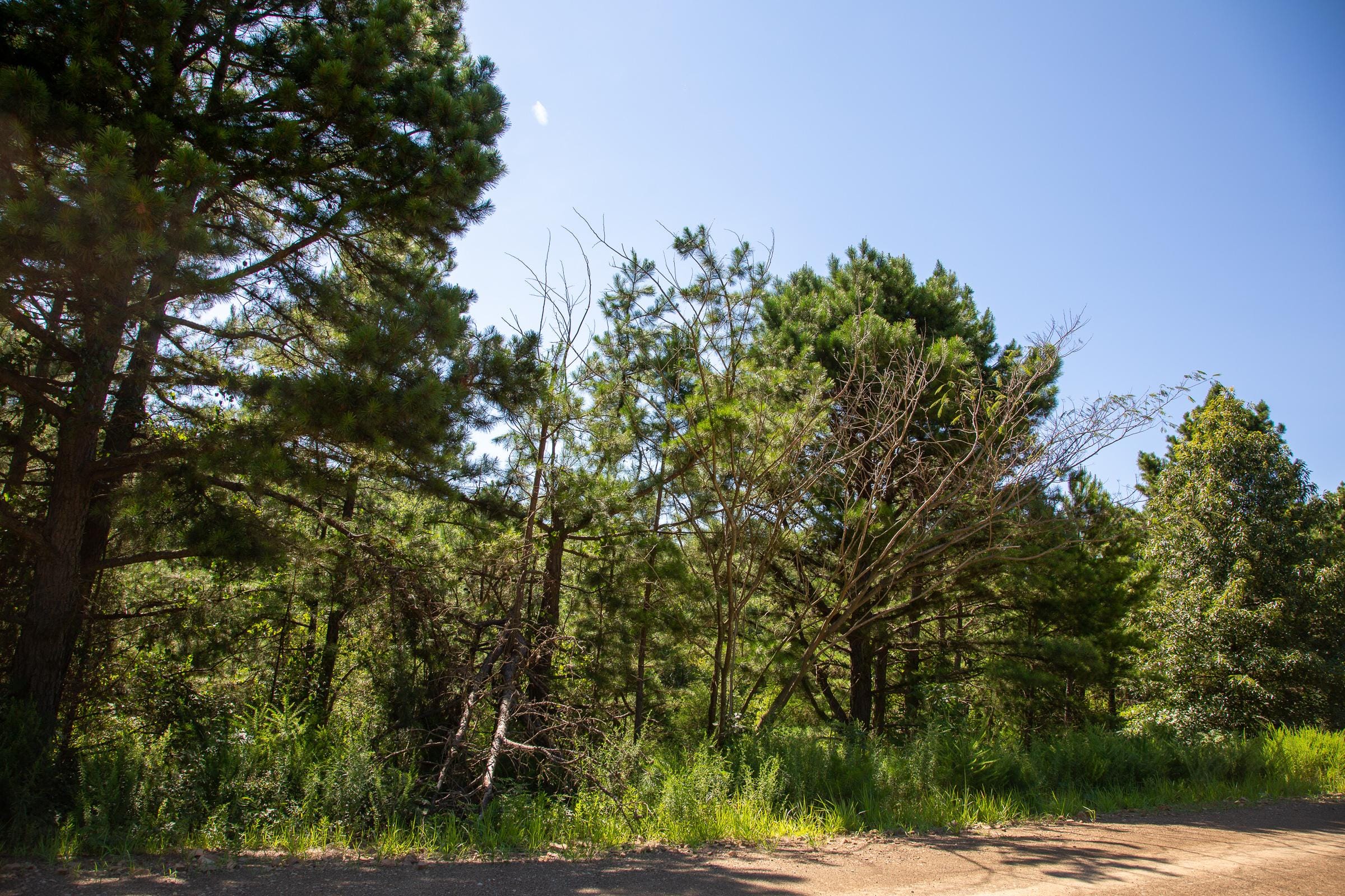 Tyler Stone Ranch Tract 2 photo 12