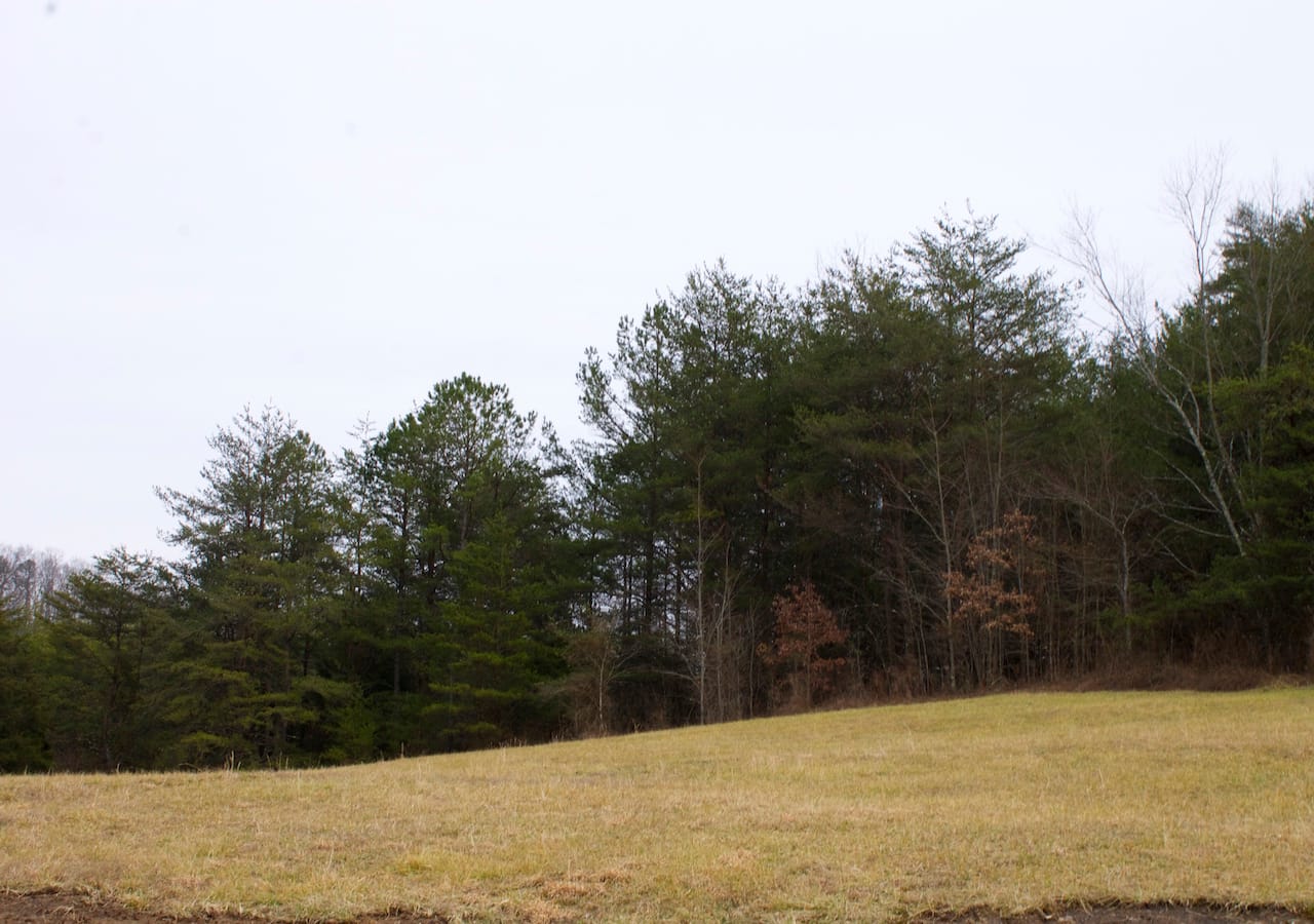 Majestic Rock Ranch Tract 8 photo 3