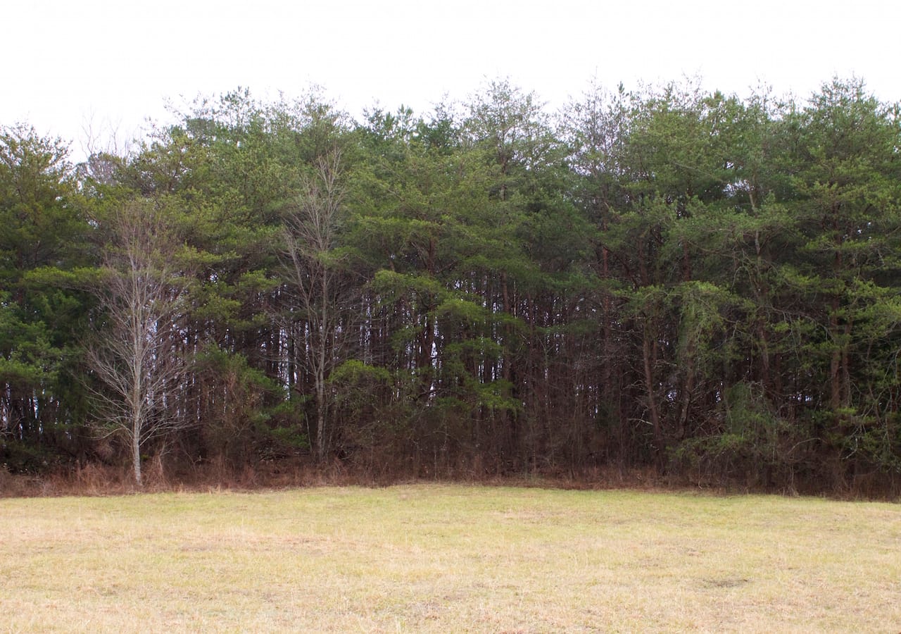 Majestic Rock Ranch Tract 8 photo 4