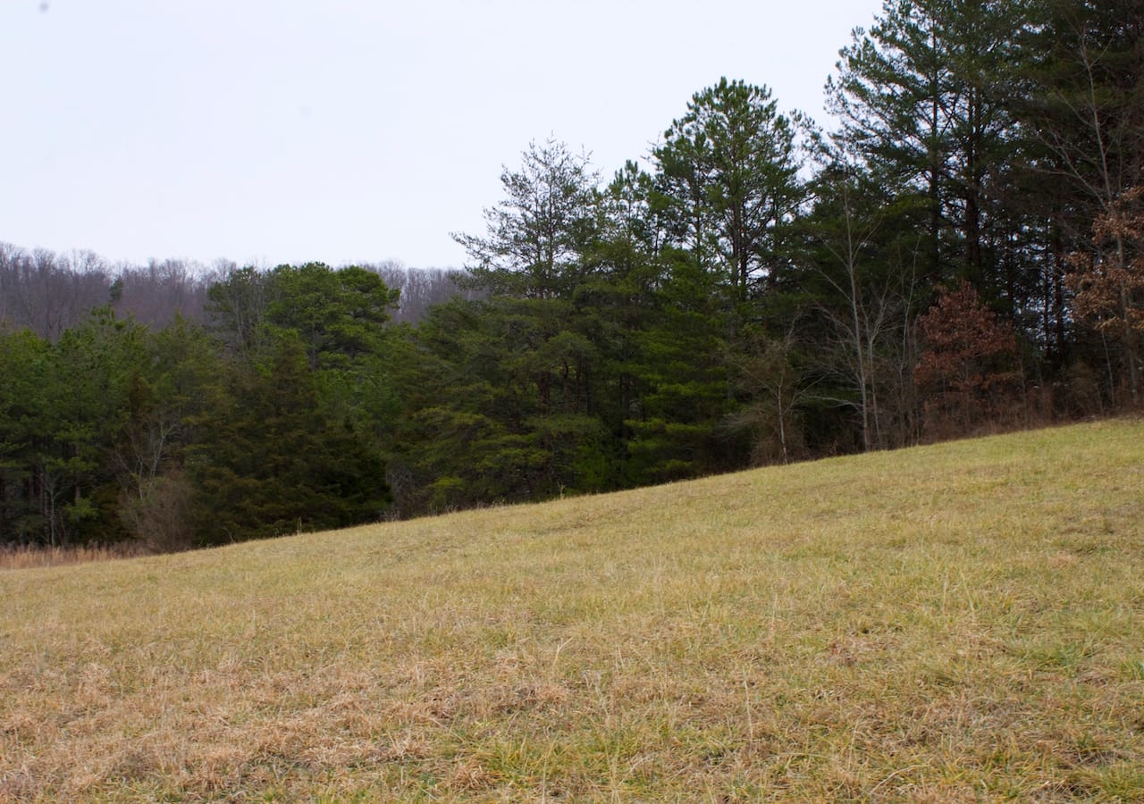 Majestic Rock Ranch Tract 8 photo 5