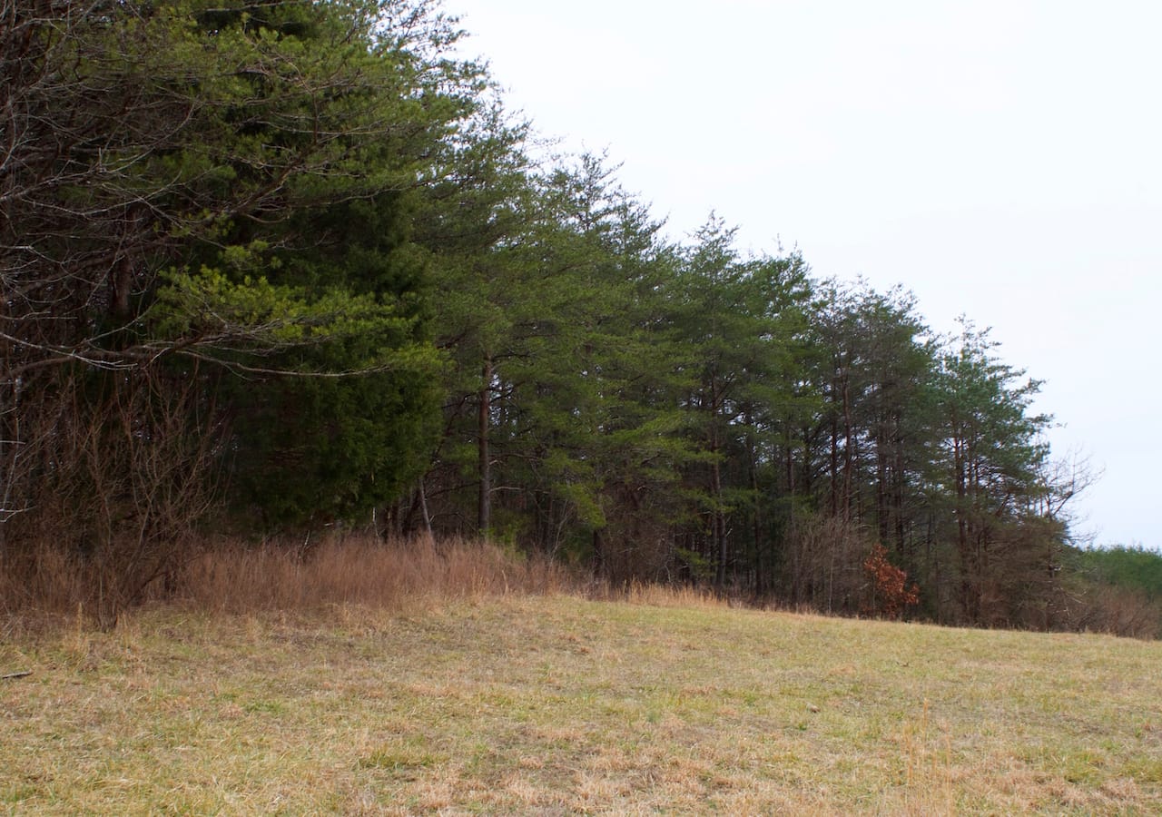 Majestic Rock Ranch Tract 8 photo 6